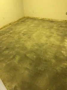 Performance Floor commercial coating installation