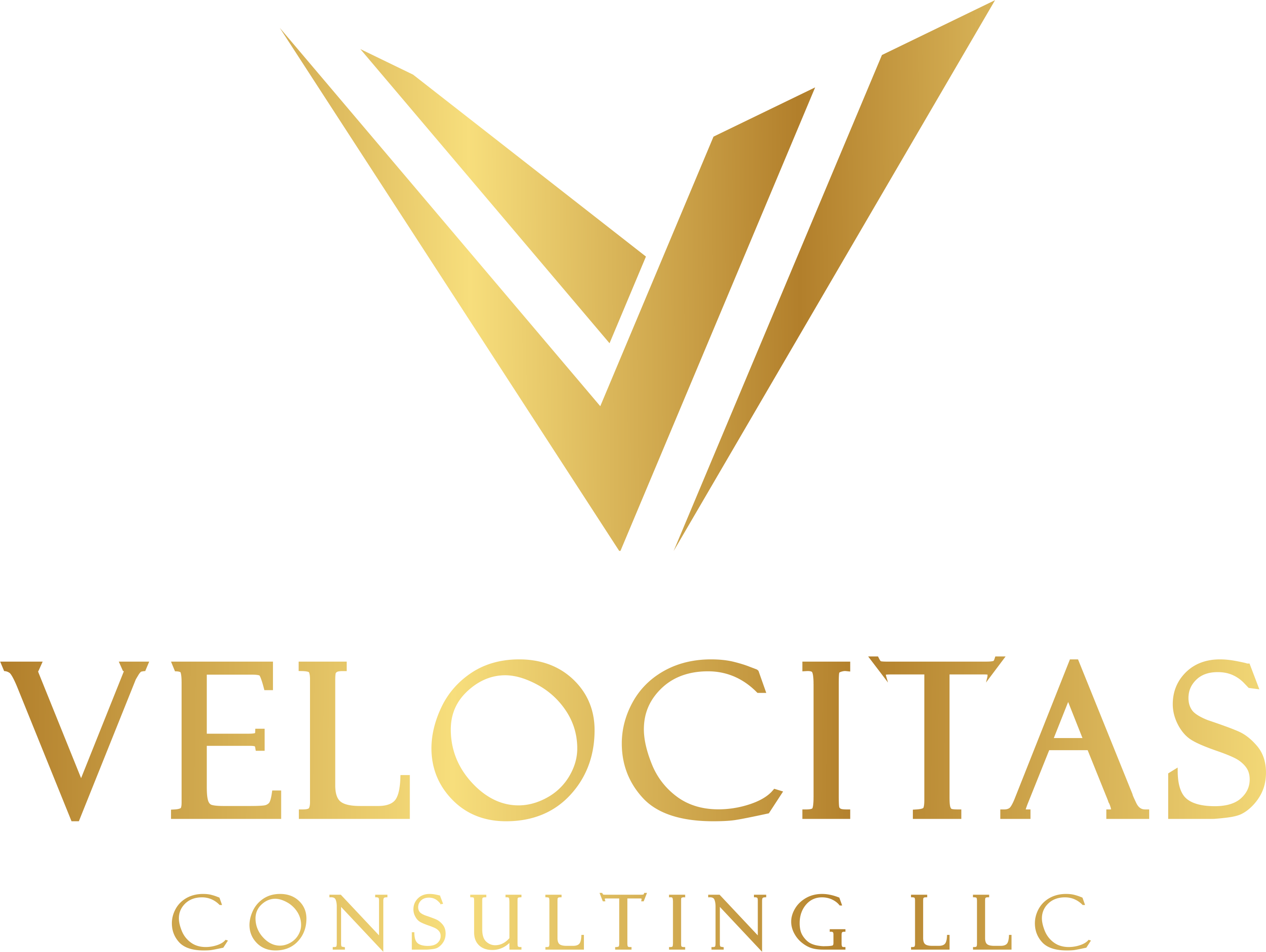 Velocitas Consulting LLC