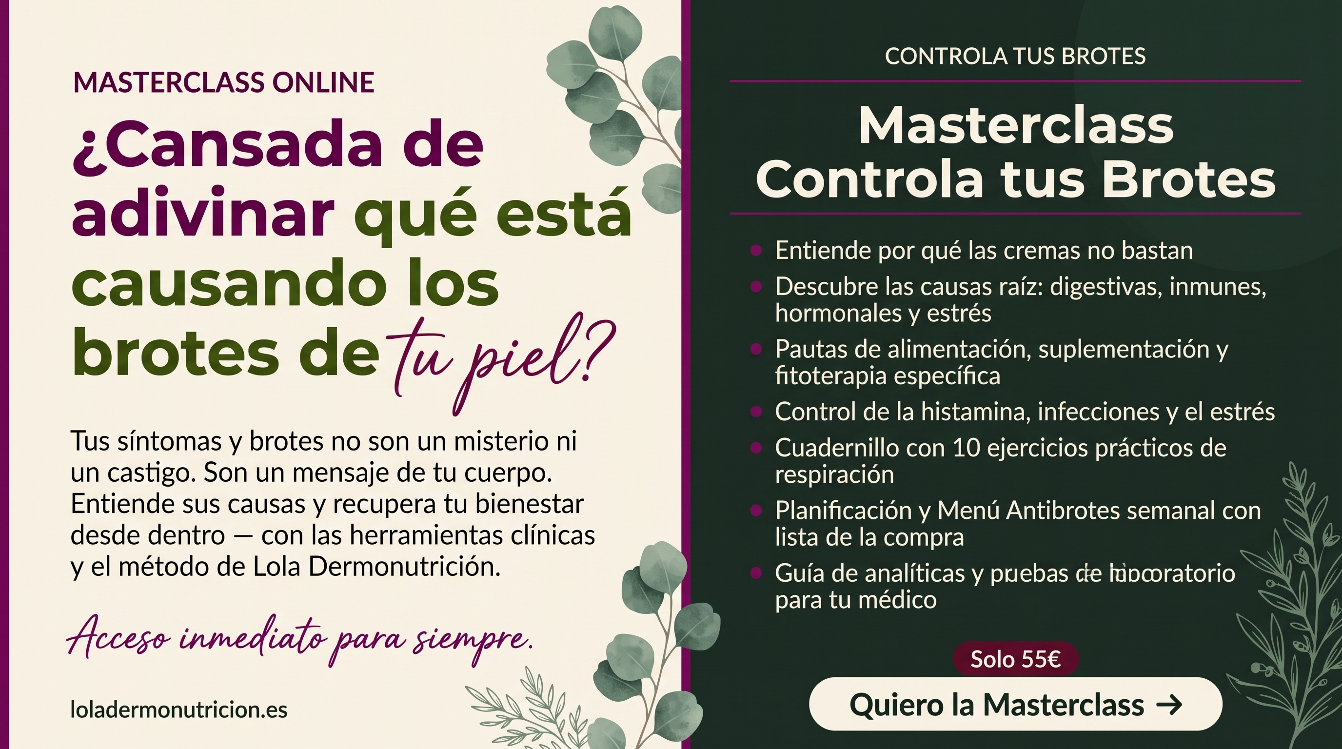 Masterclass controla tus brotes ¿Cuáles son las causas del acné? ¿Cómo solucionar el acné?