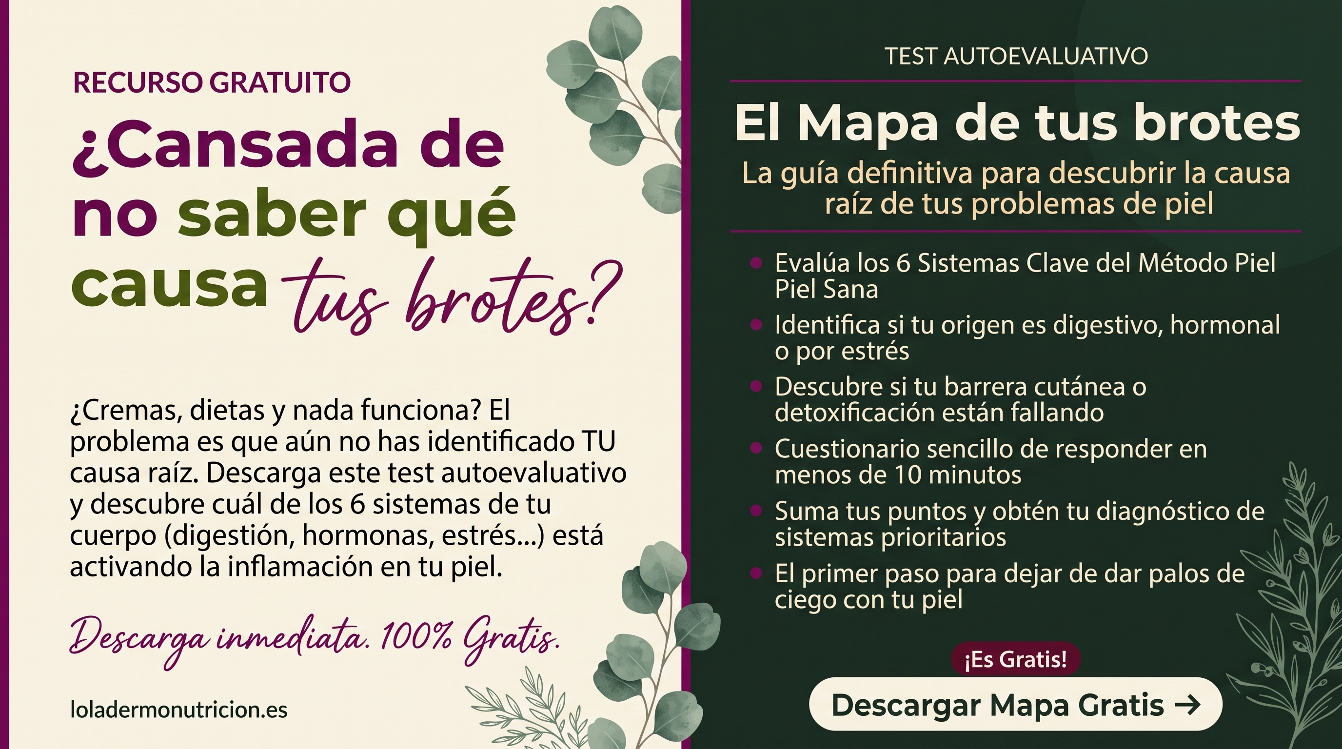 el mapa de tus brotes descubre las causas o los desencadenantes