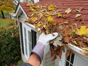 House Washing in Maysville,  KY