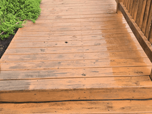 House Washing in Augusta,  Ky