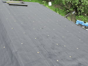 {{ custom_values.service_2 }} in {{custom_values.area_2})