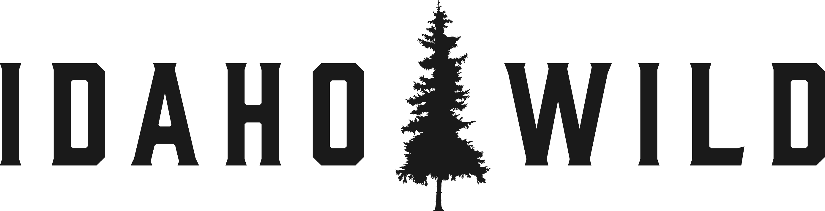 Idaho Wild Real Estate