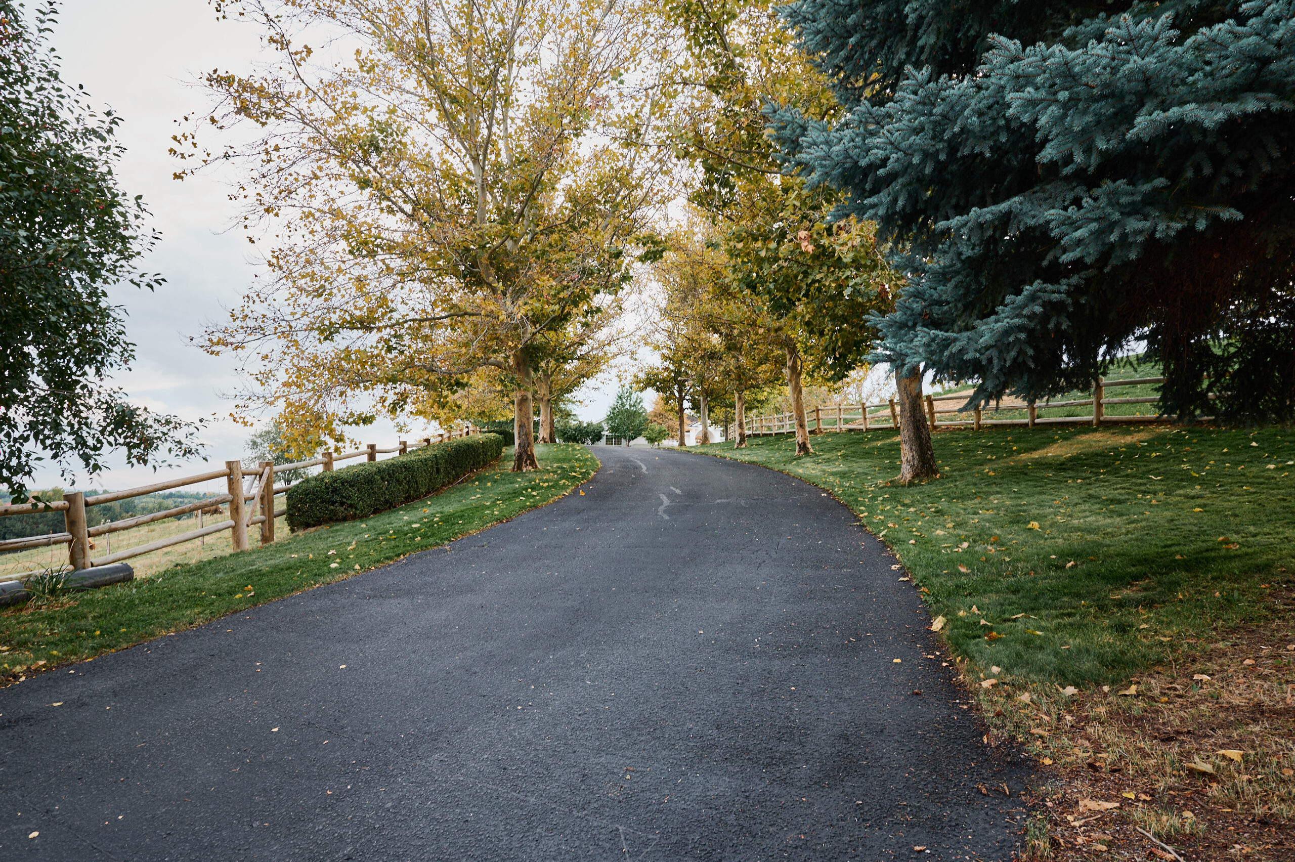 Private tree-lined drive at Triple Ridge