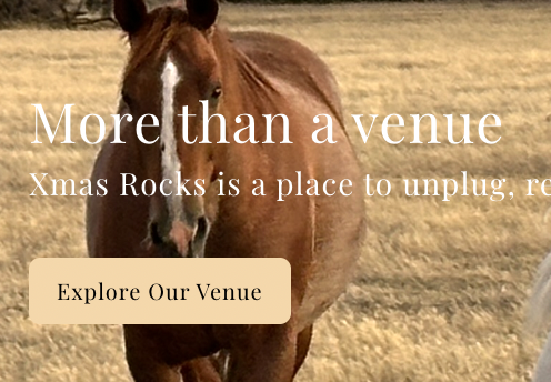 Experiences at Xmas Rocks