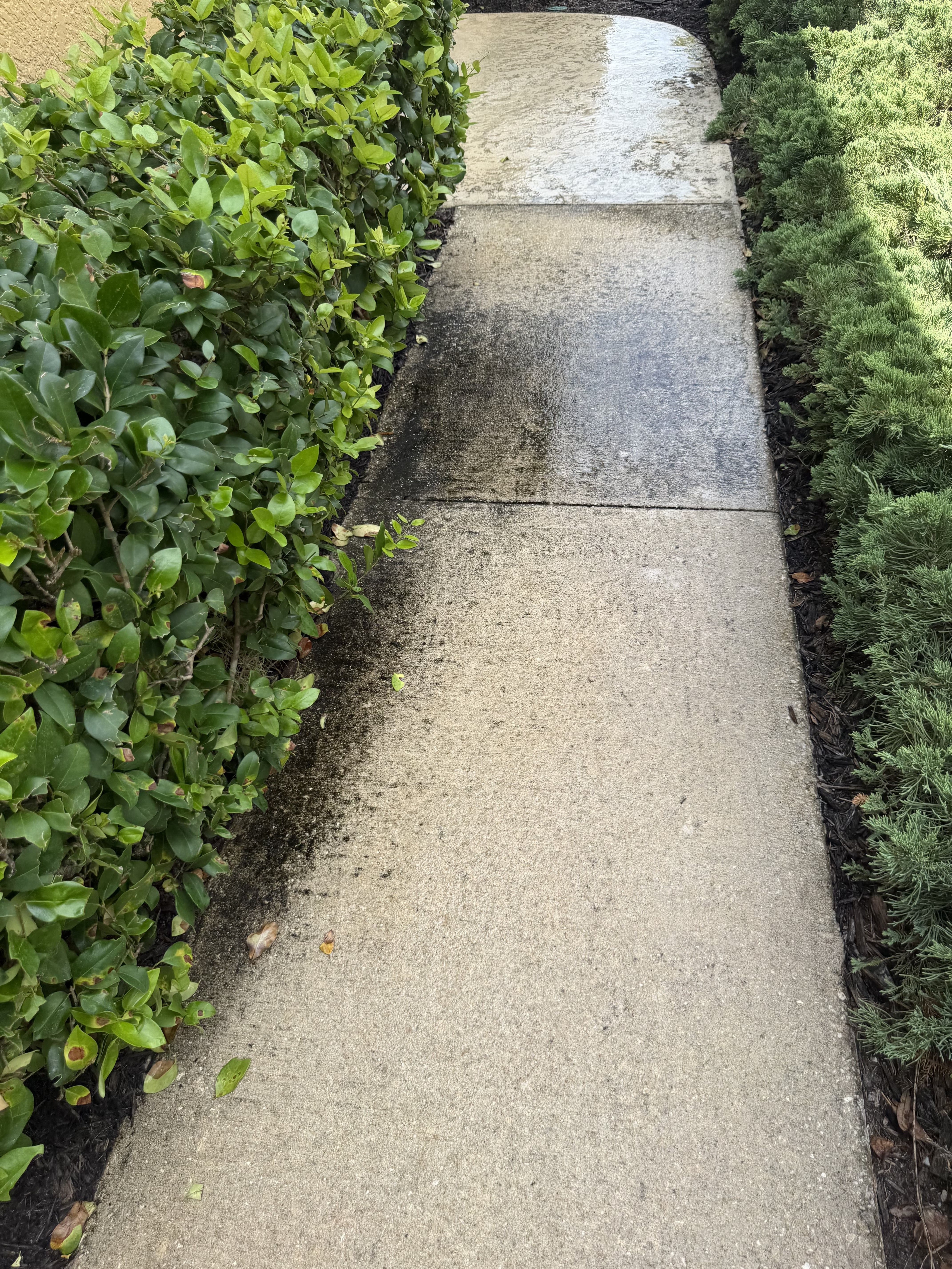 Pressure Washing Jacksonville, FL