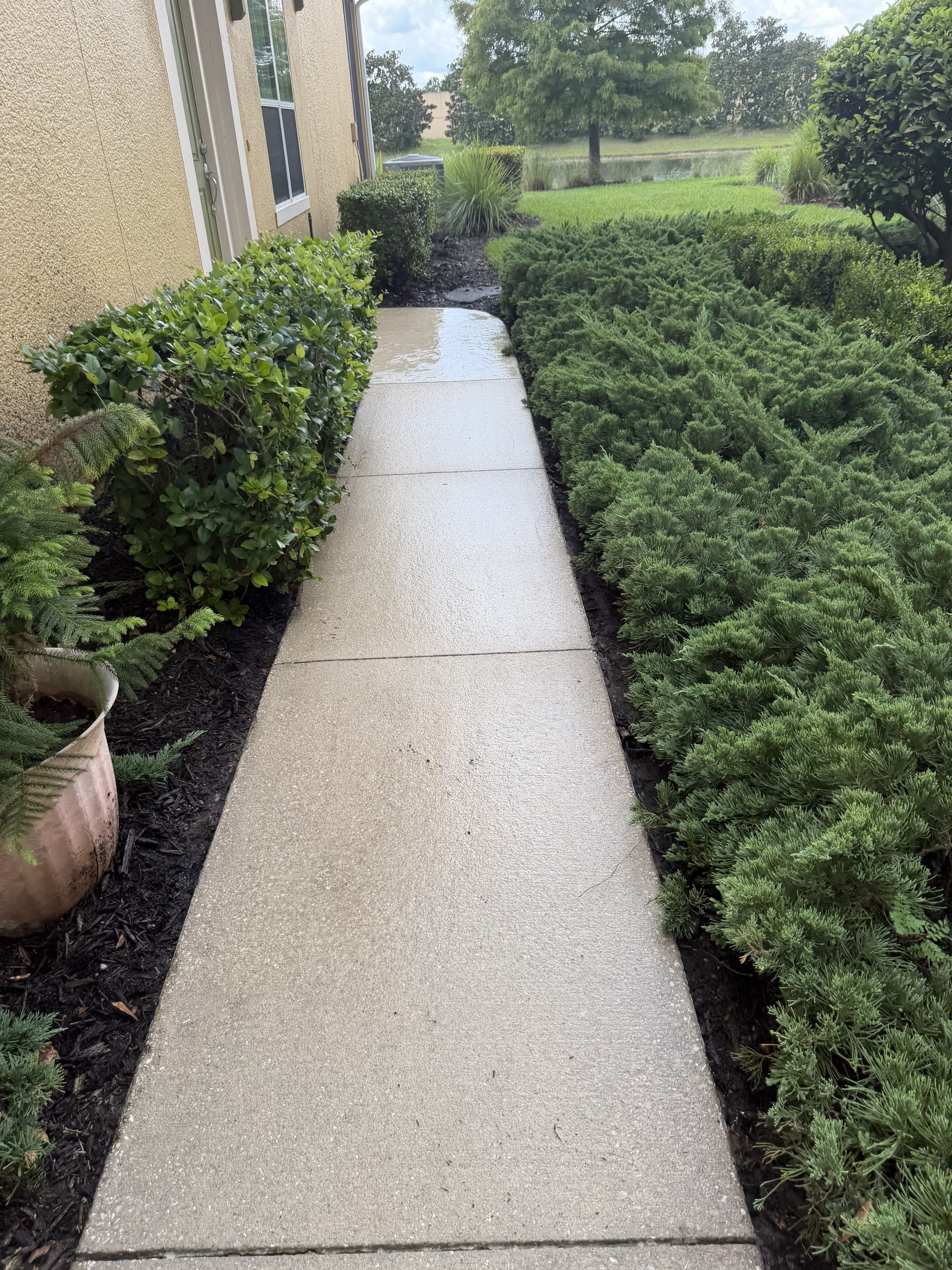 Gutter Cleaning Jacksonville, FL