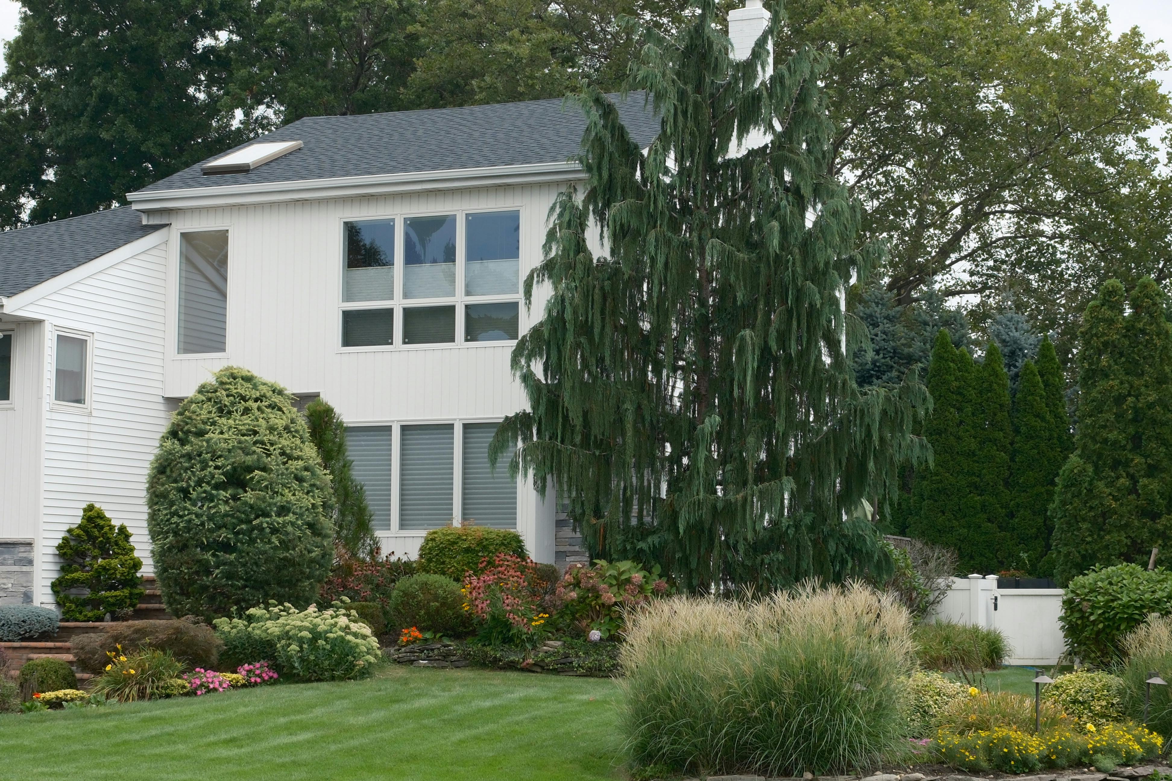Low-cost curb appeal improvements like fresh mulch and trimmed landscaping before selling.