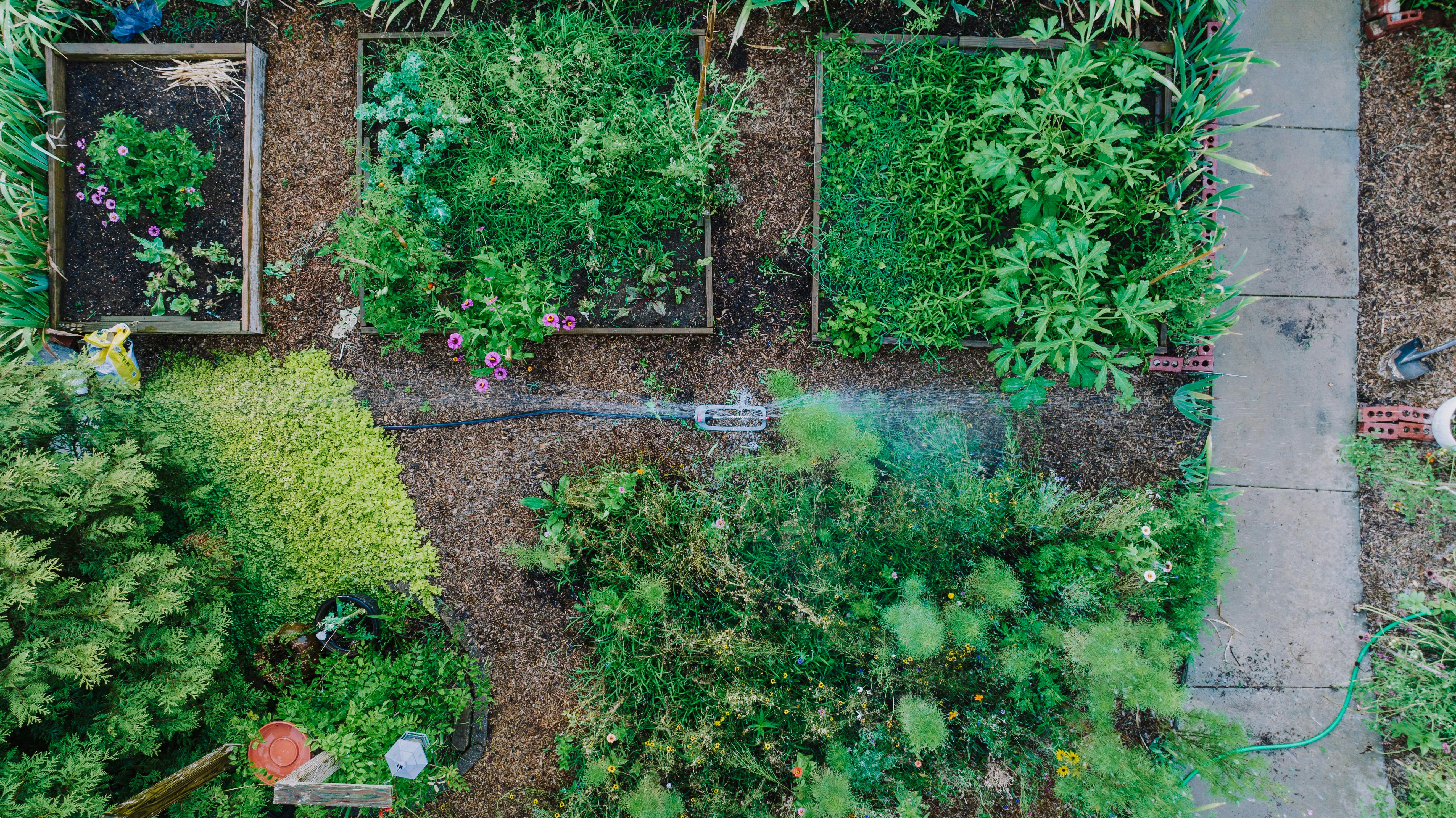 Large vegetable garden that some buyers may view as maintenance. Large vegetable garden that some buyers may view as maintenance.