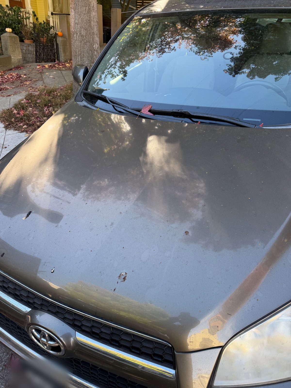 Heavy dust film on the hood of a 2011 Toyota RAV4 before washing