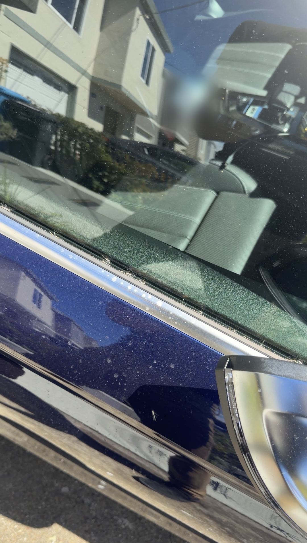 Seed fluff in the window seal and dust specks on the door of a blue Audi S5