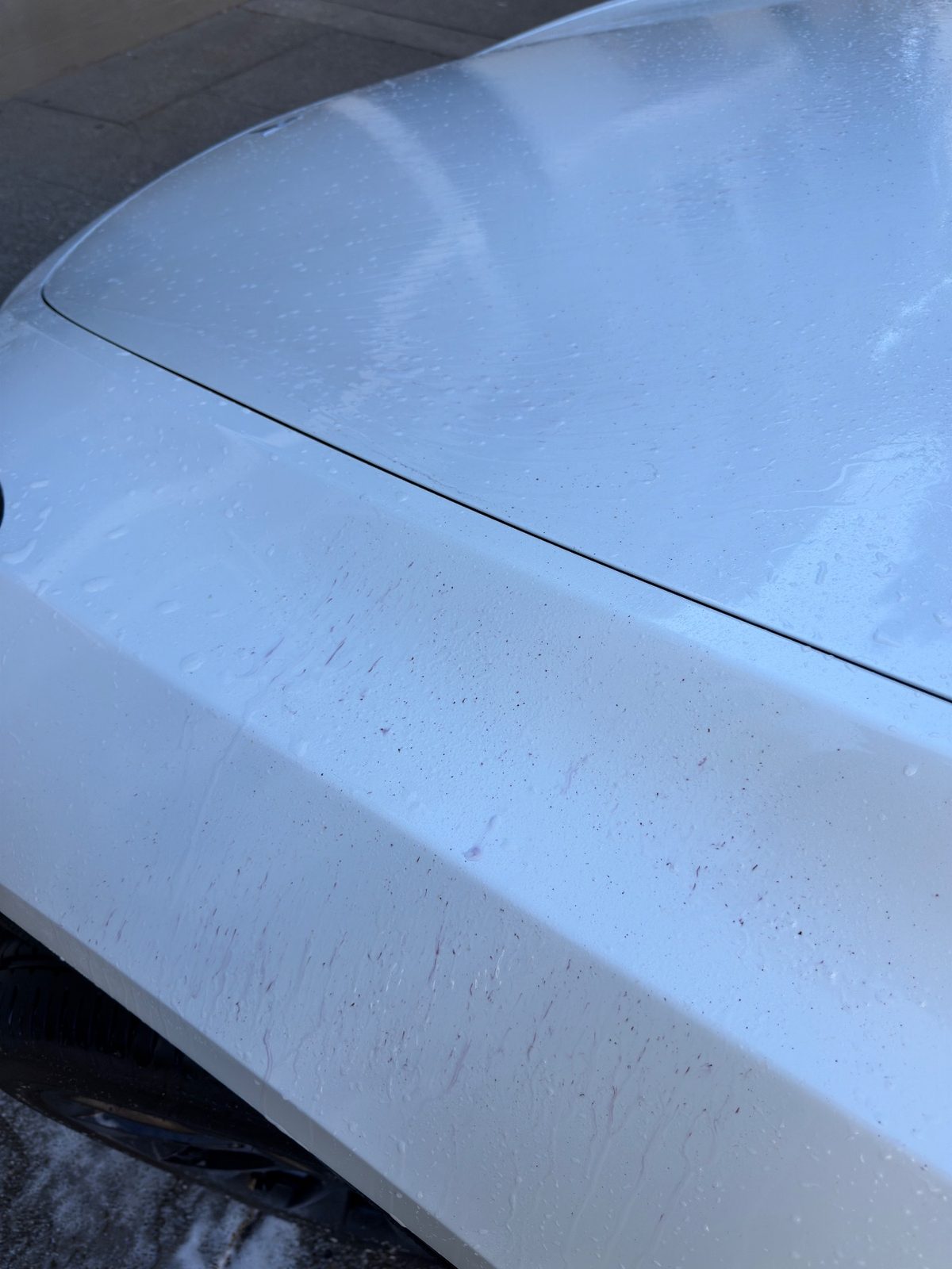 Front fender of a white Tesla Model Y wet with purple iron-remover streaks