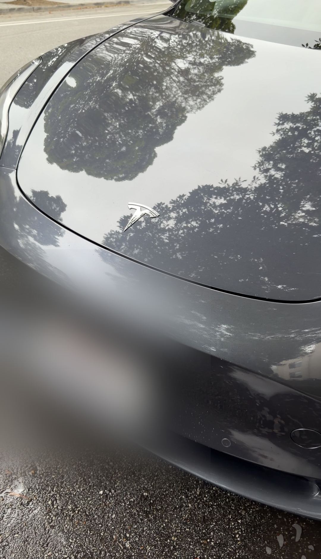 Close-up of a grey Tesla Model 3 hood and front bumper after washing, tree reflections in the paint