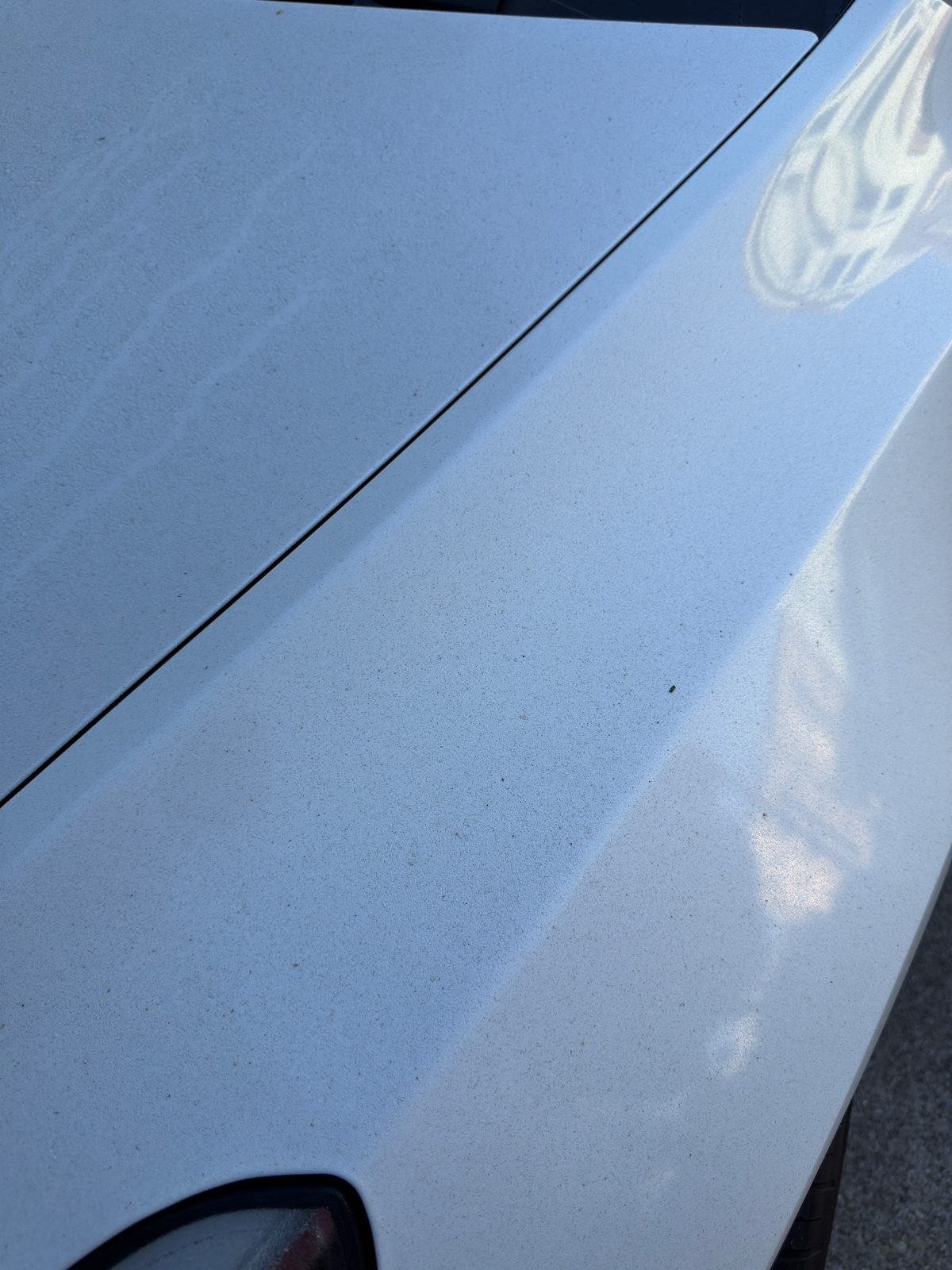 Dusty front fender and bonnet of a white Tesla Model Y before washing