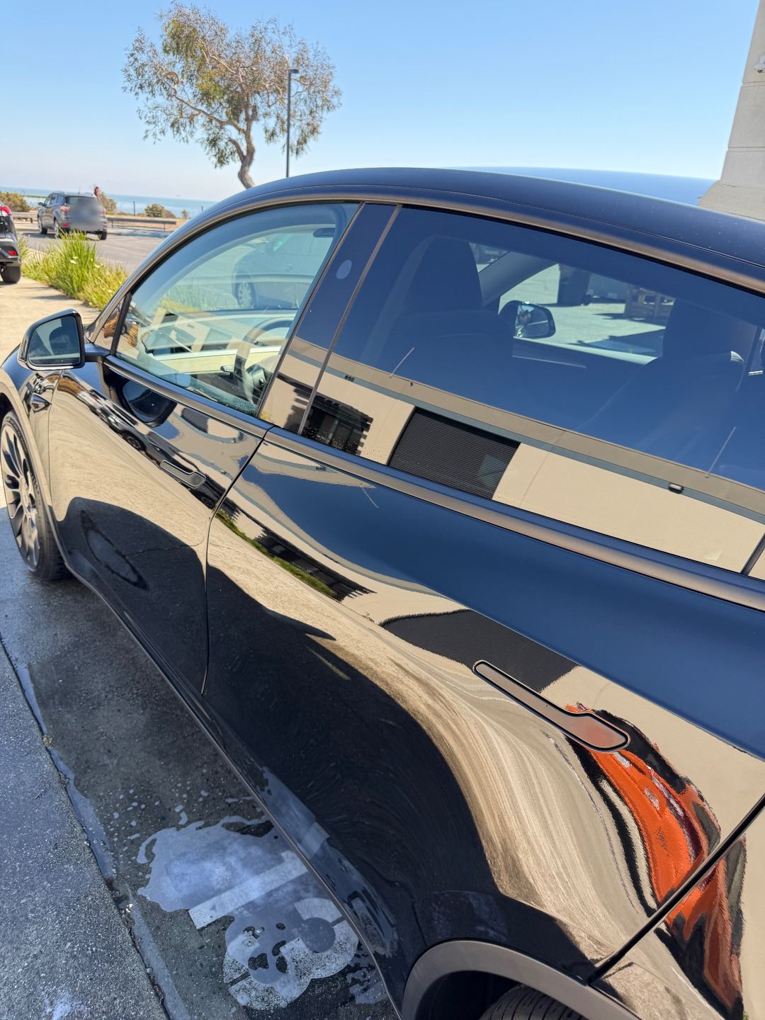 Glossy left side of a black Tesla Model Y after its wash