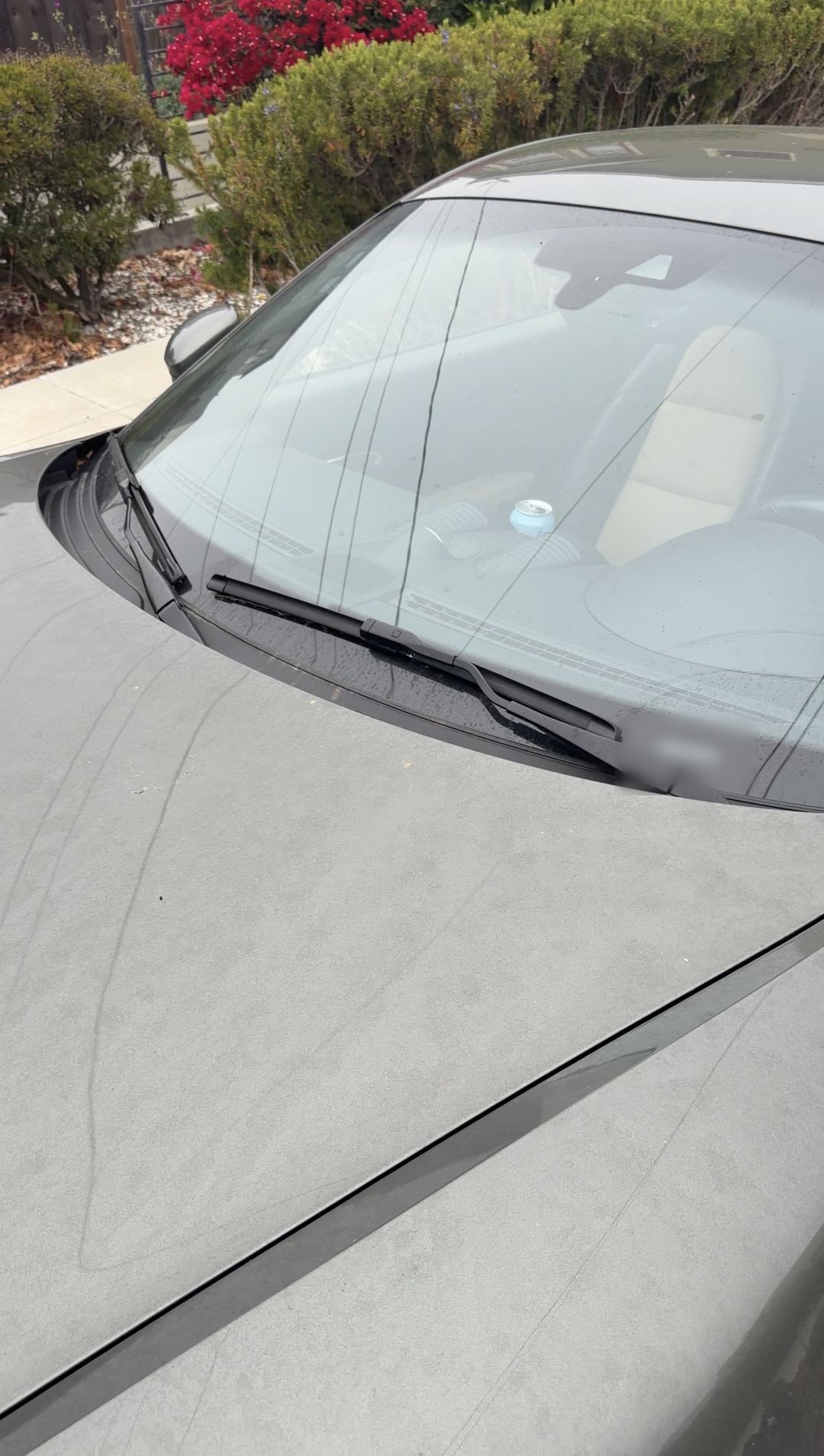 Dust-covered windscreen and cowl of a Porsche 718 Cayman S before a mobile detail.