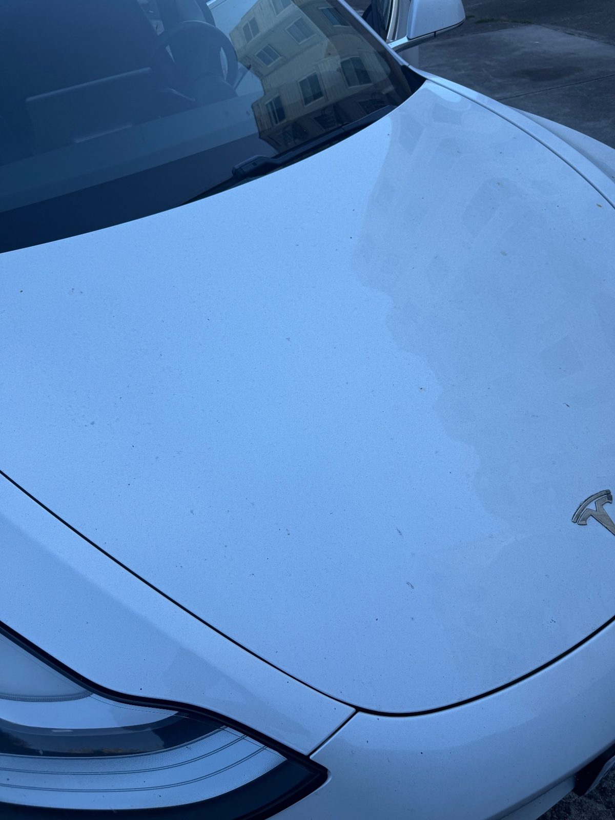 Hood of a white Tesla Model 3 before detailing, with a dusty film and water spots
