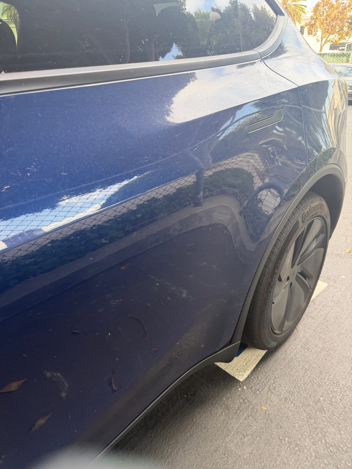 Dusty rear quarter panel of a blue Tesla Model Y with leaves and residue before detailing