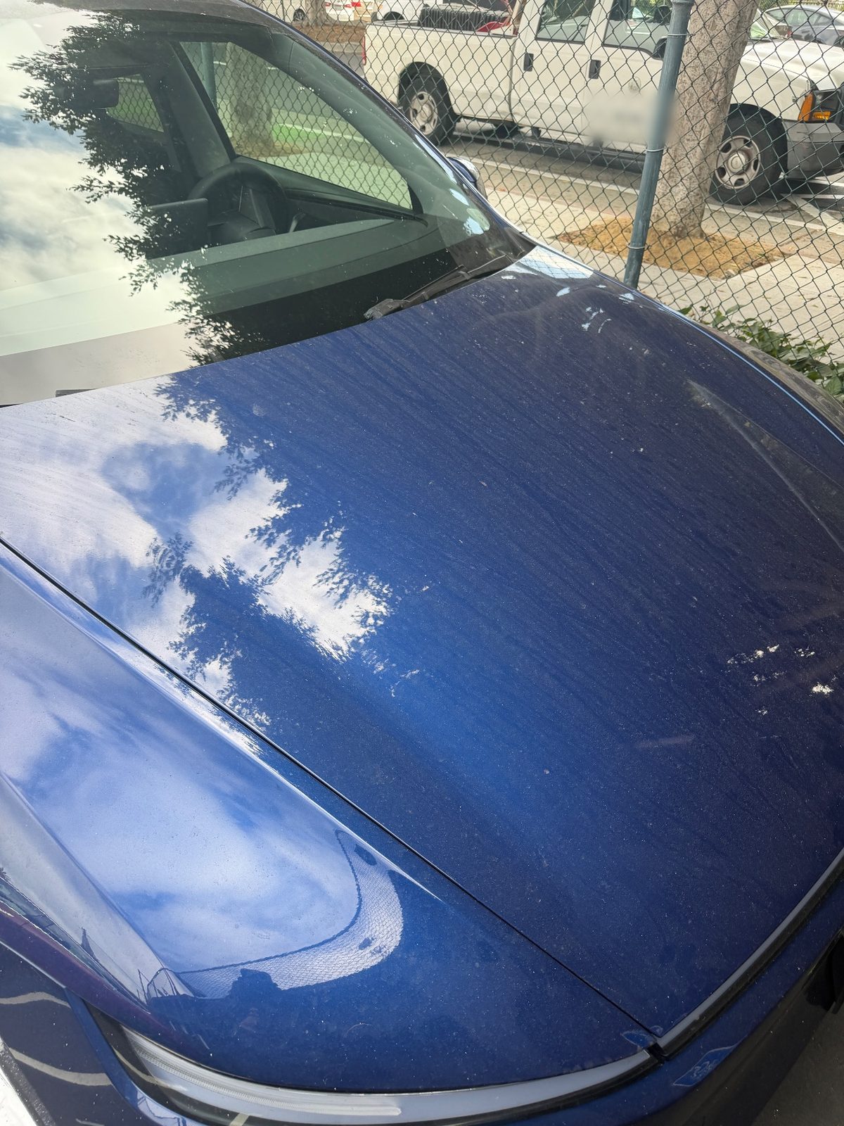 Blue Tesla Model Y hood before detailing, covered in dust film, streaks and dried water spots