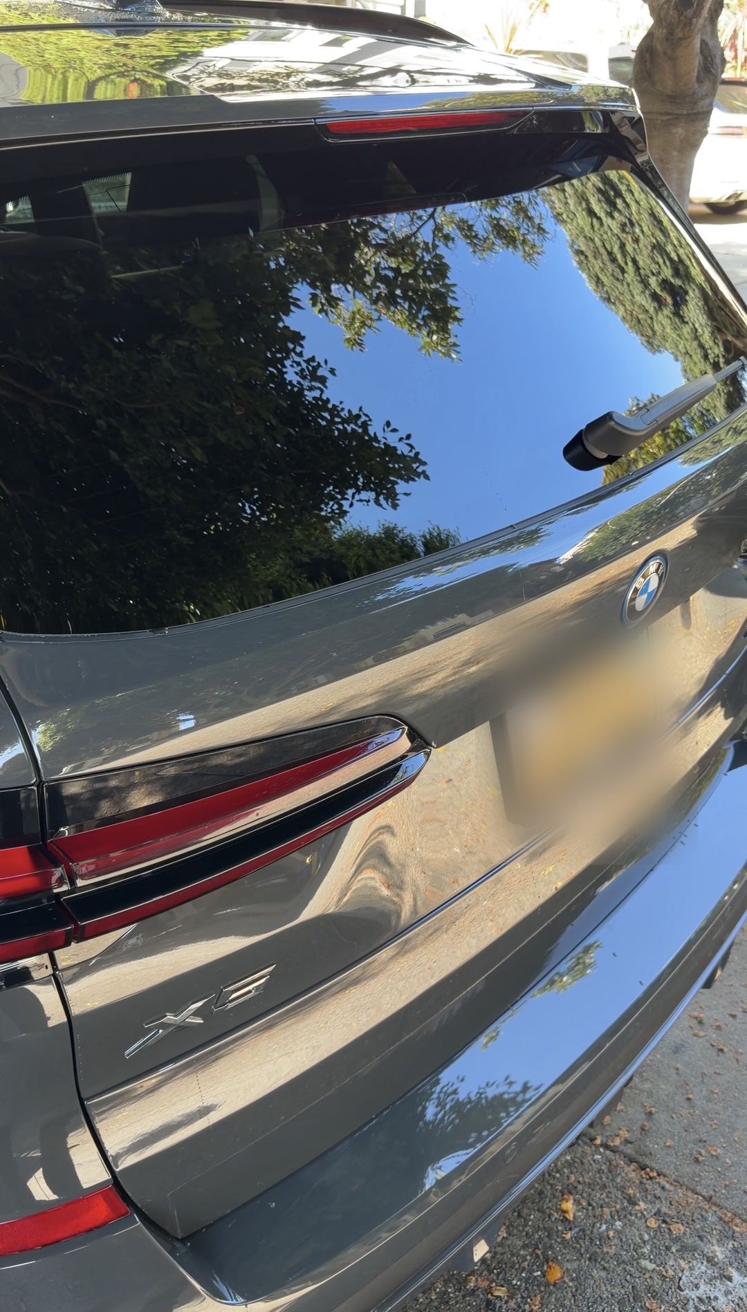 Rear tailgate of a dark grey BMW X5 after washing, the glass clean and mirroring the tree canopy above