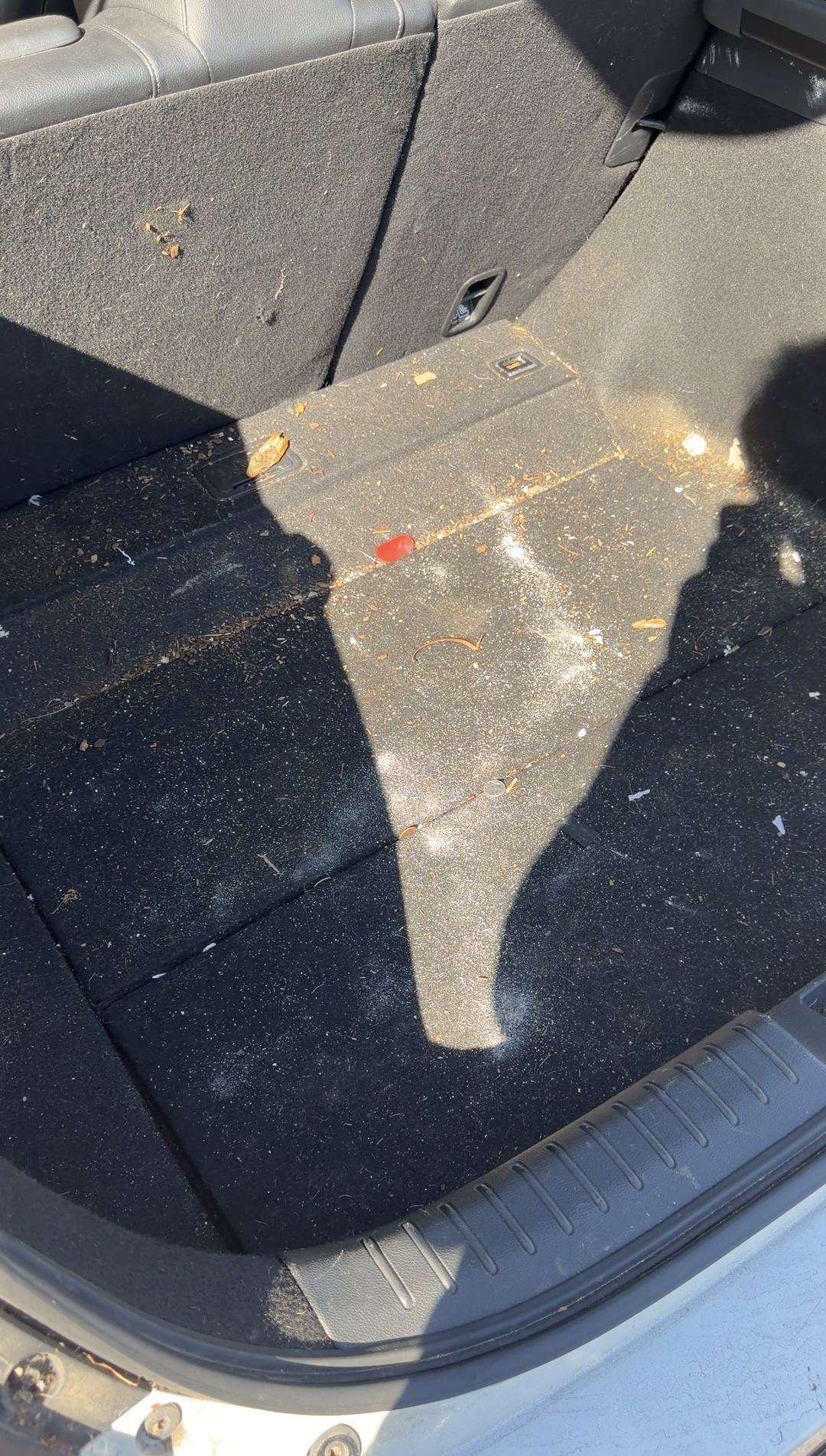 Trunk floor of a Honda Civic sedan before cleaning, covered in leaf fragments and grit