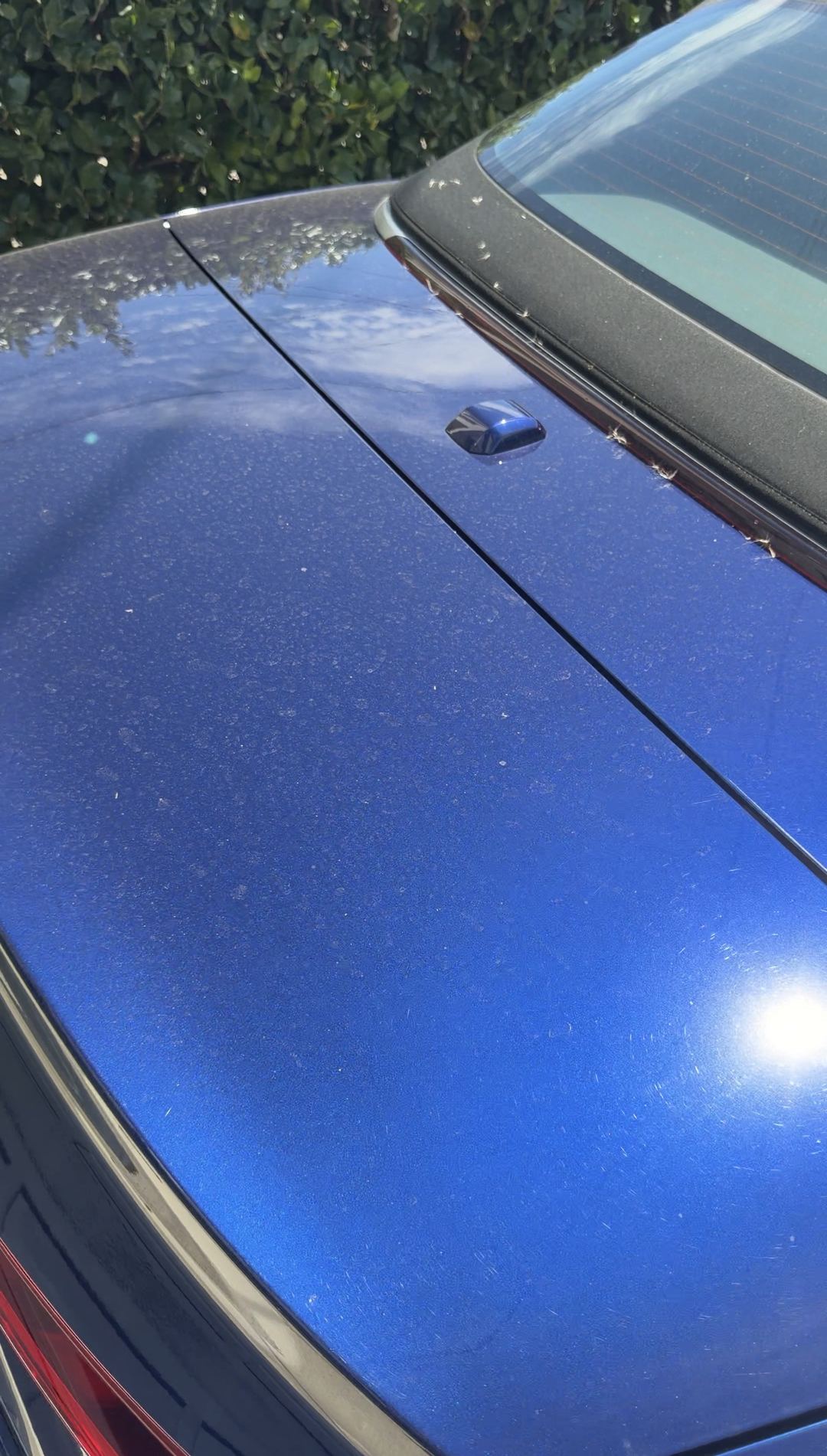 Dusty decklid of a blue Audi S5 Cabriolet with seed fluff in the roof seal