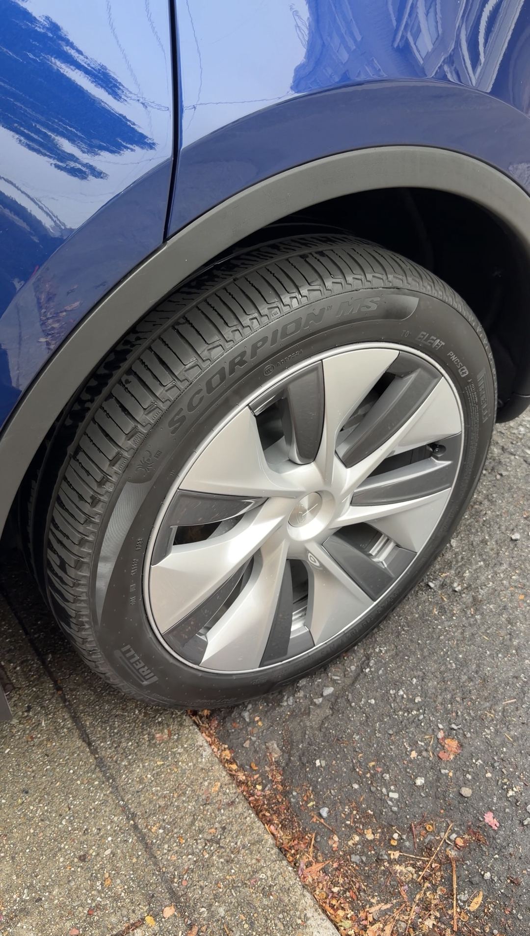 Clean Gemini wheel and Pirelli Scorpion tyre on a deep blue Tesla Model Y after detailing.