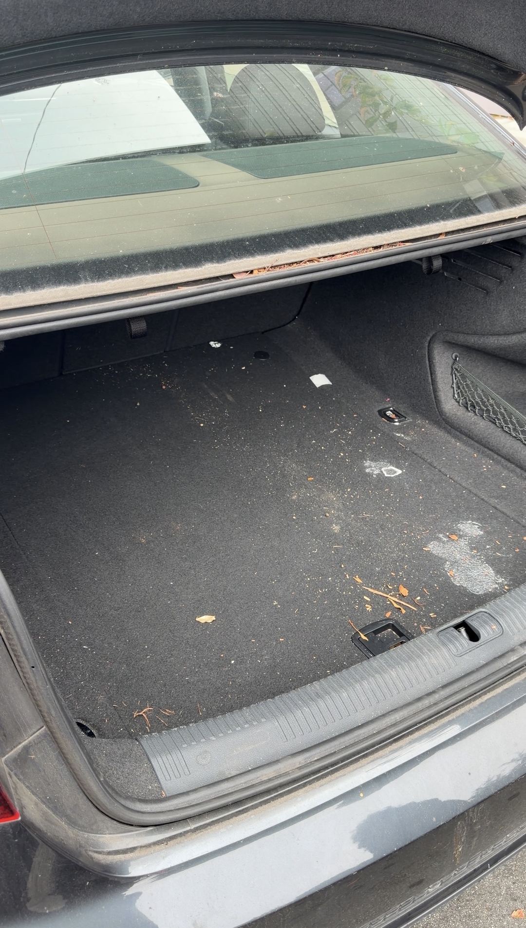 Pine needles, dry leaves and a dried spill mark on the trunk carpet of an Audi A4