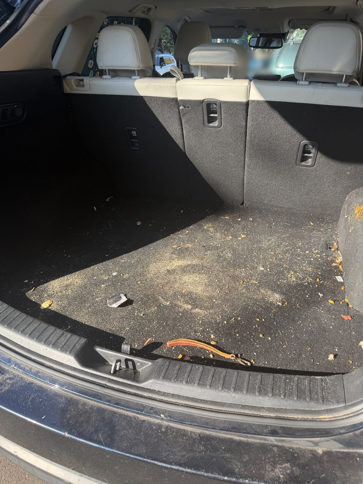 Cargo area of a dark blue Mazda CX-5 before detailing, carpet covered in crumbs, dust and leaf debris