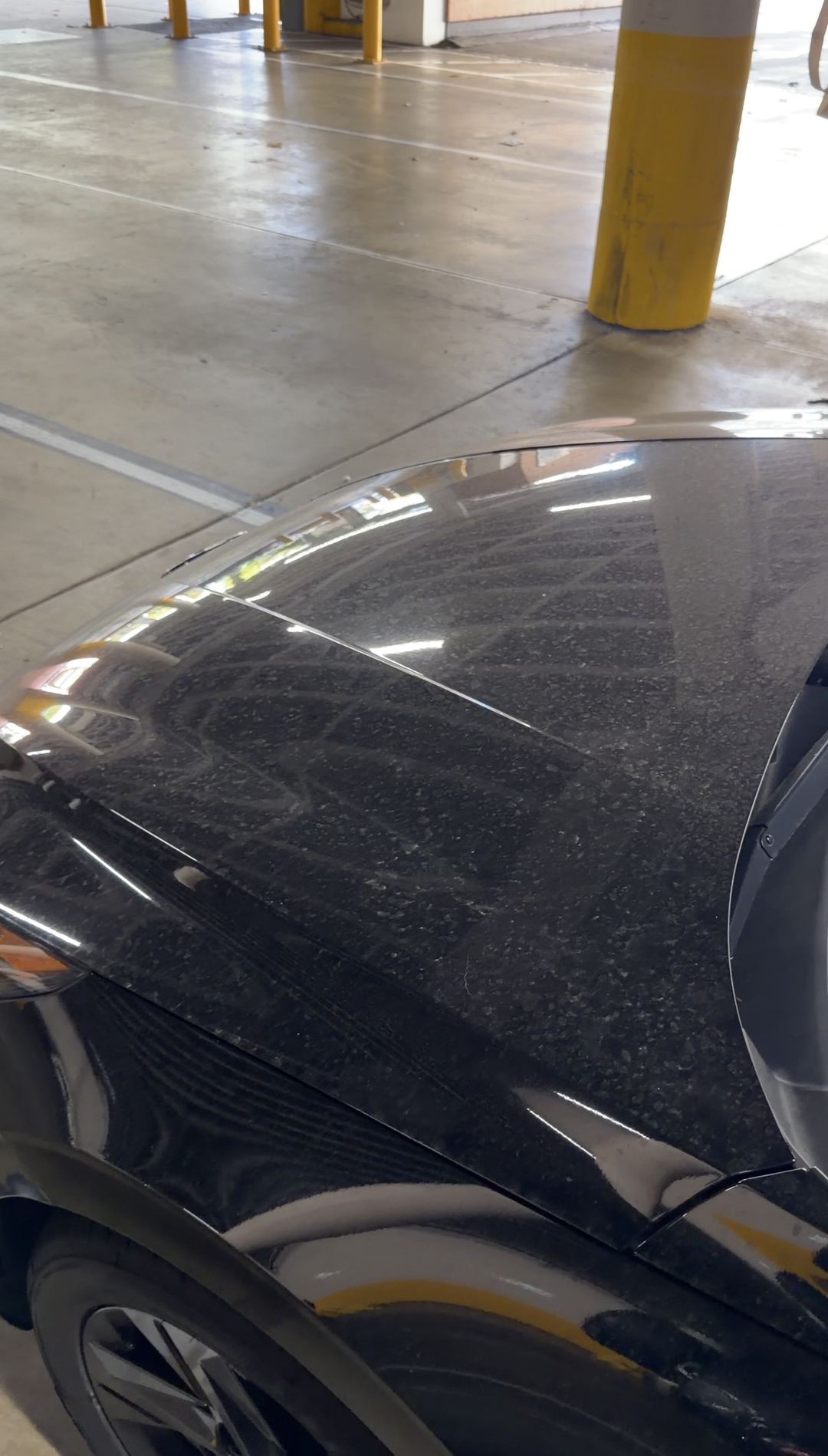 Dust film across the black hood of a Hyundai Elantra in a parking garage before washing