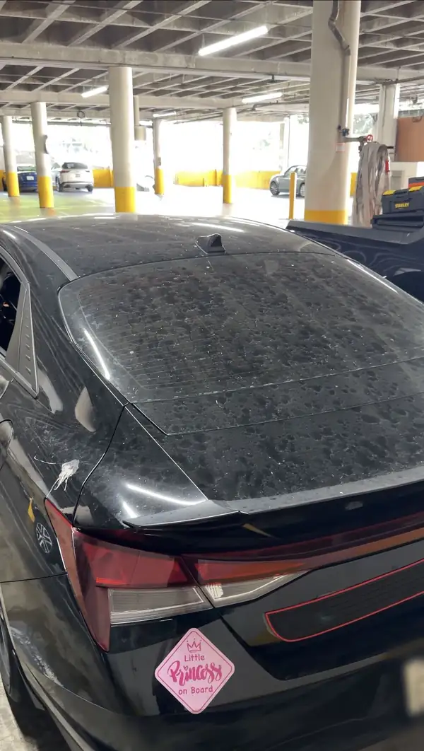 Rear window and trunk of a black Hyundai Elantra spotted with dust and a bird dropping before washing