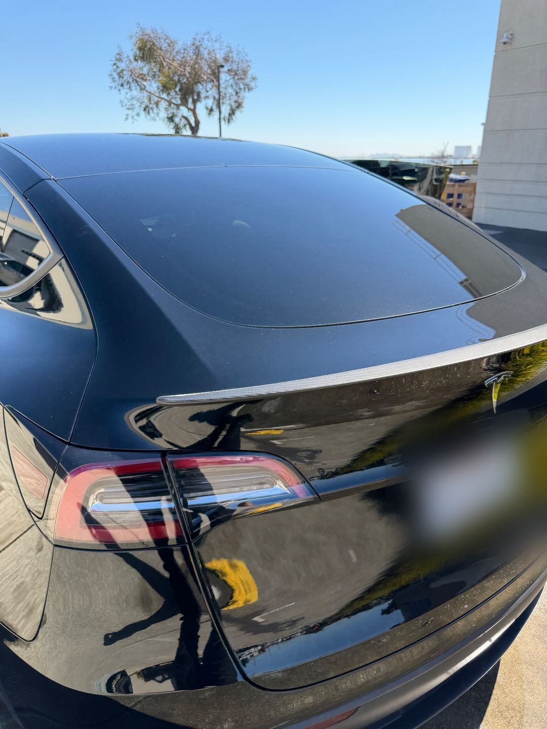 Glossy rear hatch of a black Tesla Model Y after a full detail