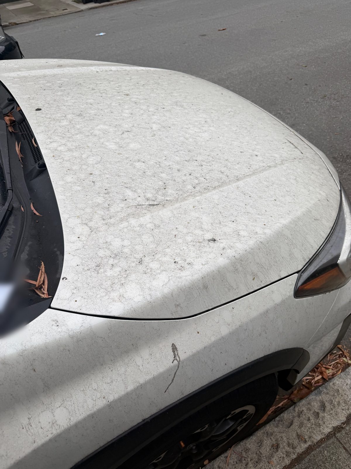 Dusty front fender and hood of a white Subaru Crosstrek before cleaning
