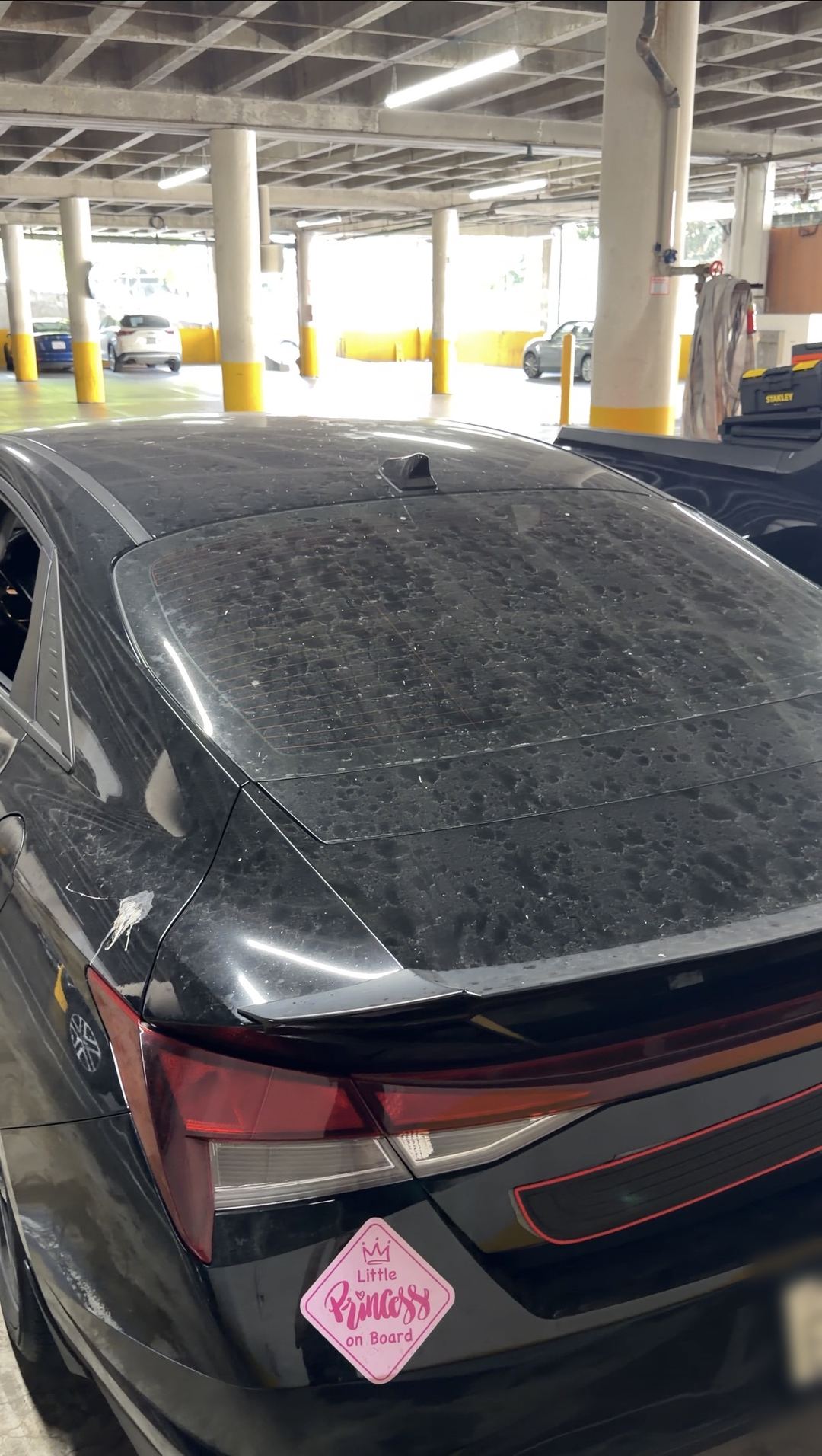Rear window and trunk of a black Hyundai Elantra spotted with dust and a bird dropping before washing