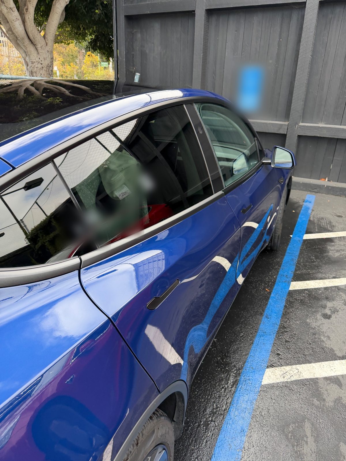 Glossy passenger-side door of a deep blue Tesla Model Y after detailing