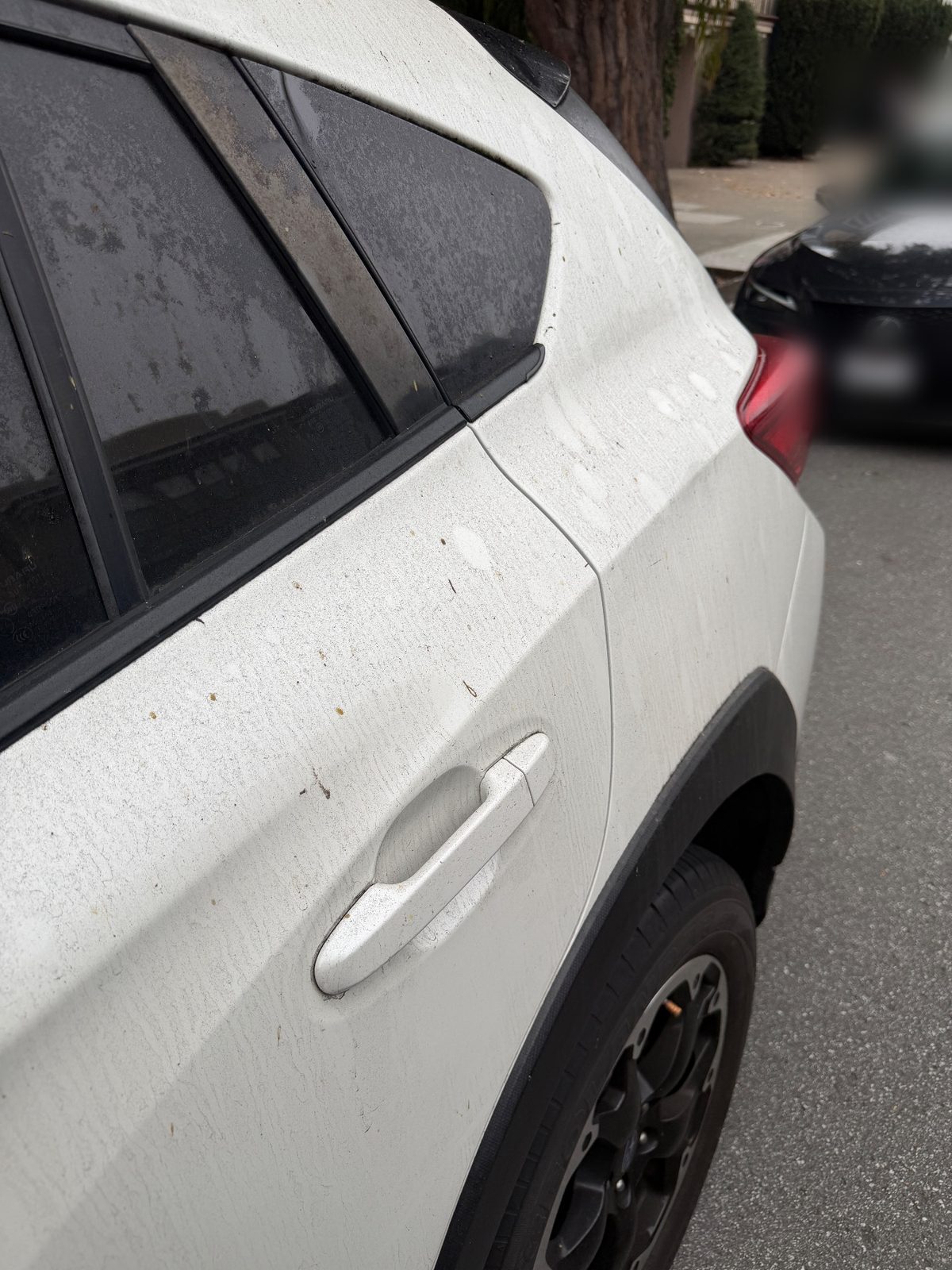 Dusty rear door and quarter panel of a white Subaru Crosstrek before cleaning