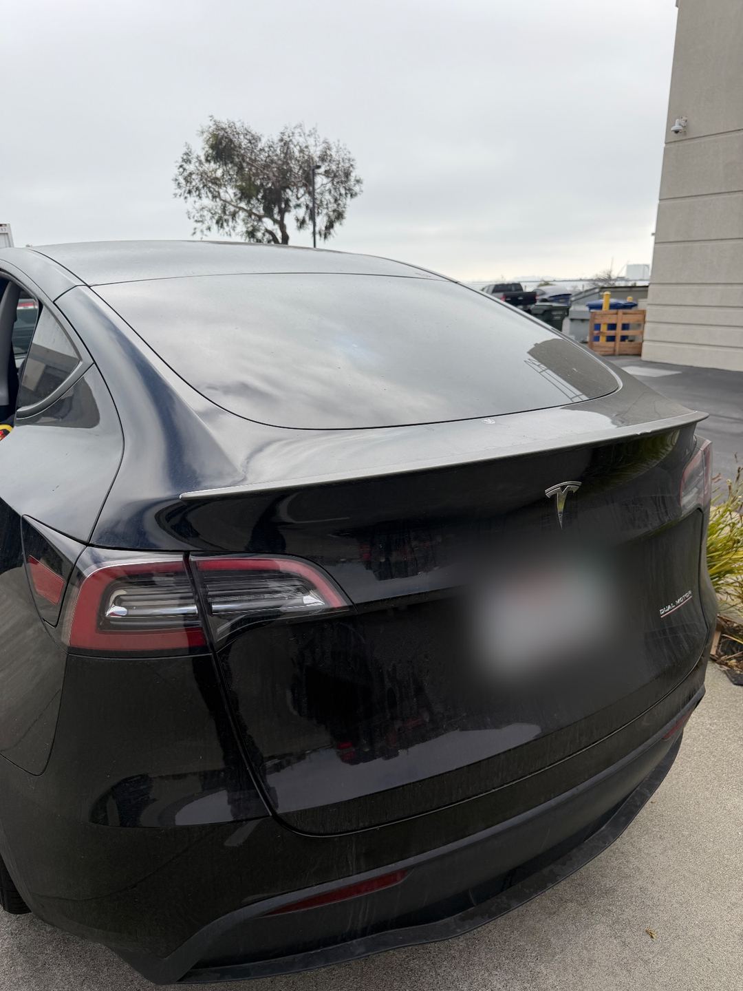 Rear hatch of a black Tesla Model Y before its exterior wash