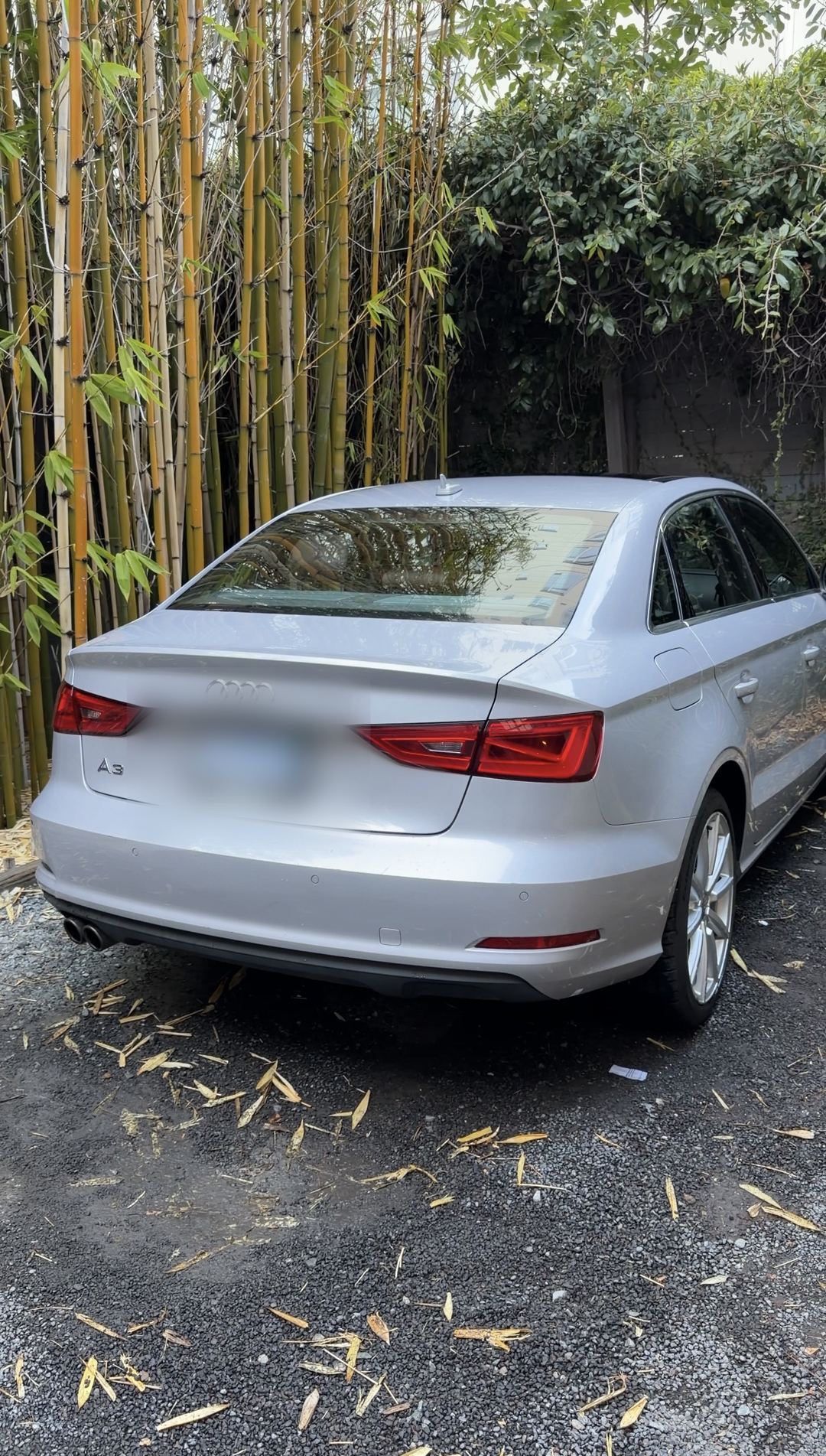Rear three-quarter view of a silver Audi A3 sedan parked in front of bamboo