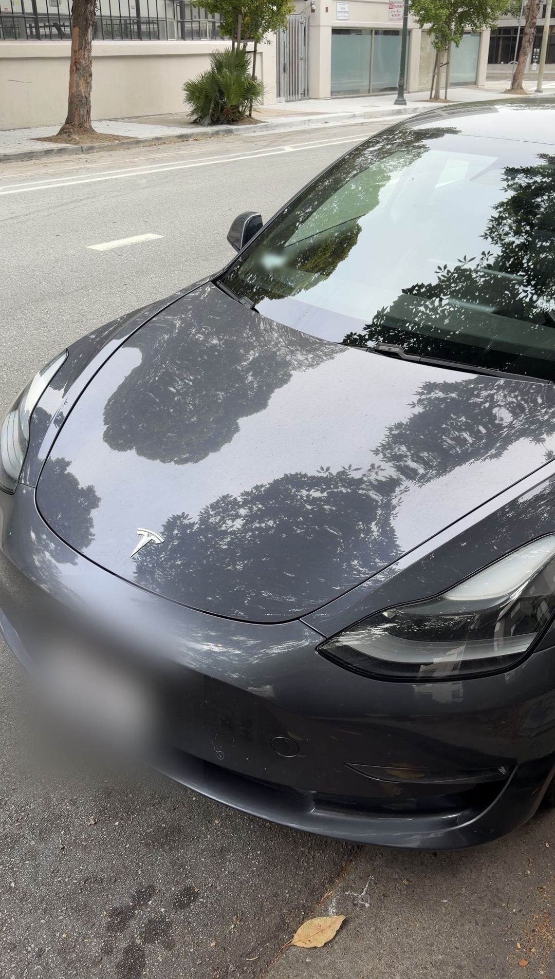 Grey Tesla Model 3 front three-quarter before washing, dust on the bumper and hood