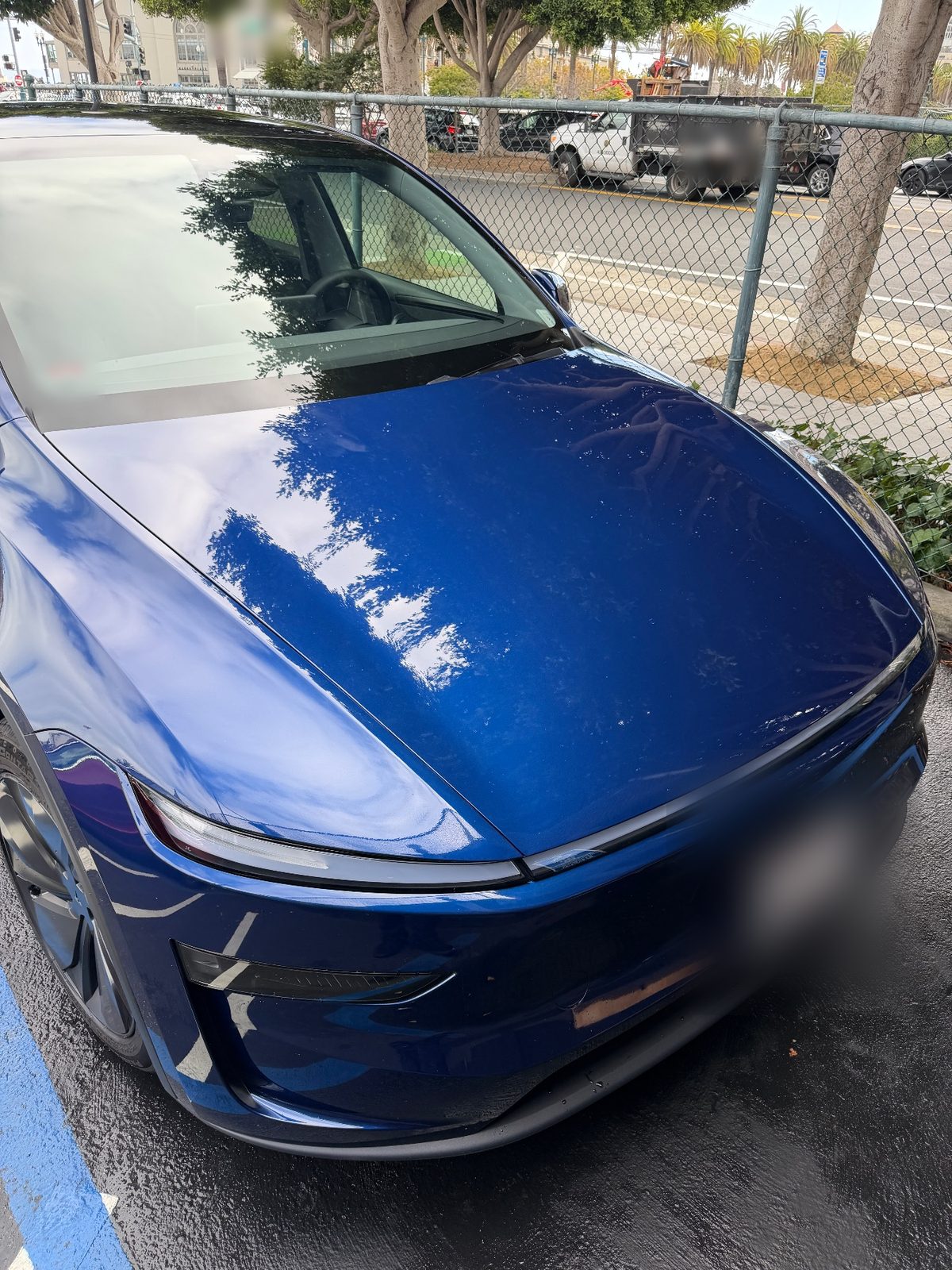 Clean glossy hood of a deep blue Tesla Model Y after a detail, tree reflected in the paint