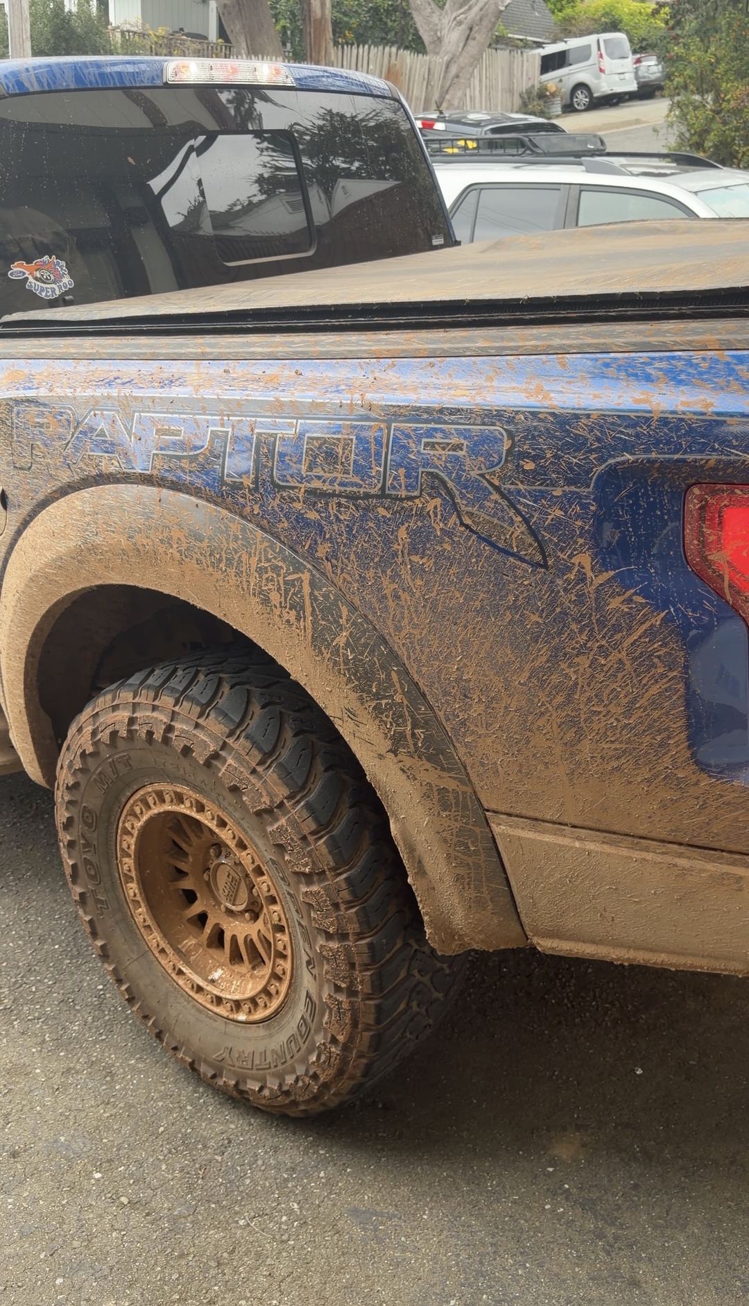 RAPTOR bedside graphic on a Ford F-150 hidden under dried mud before cleaning