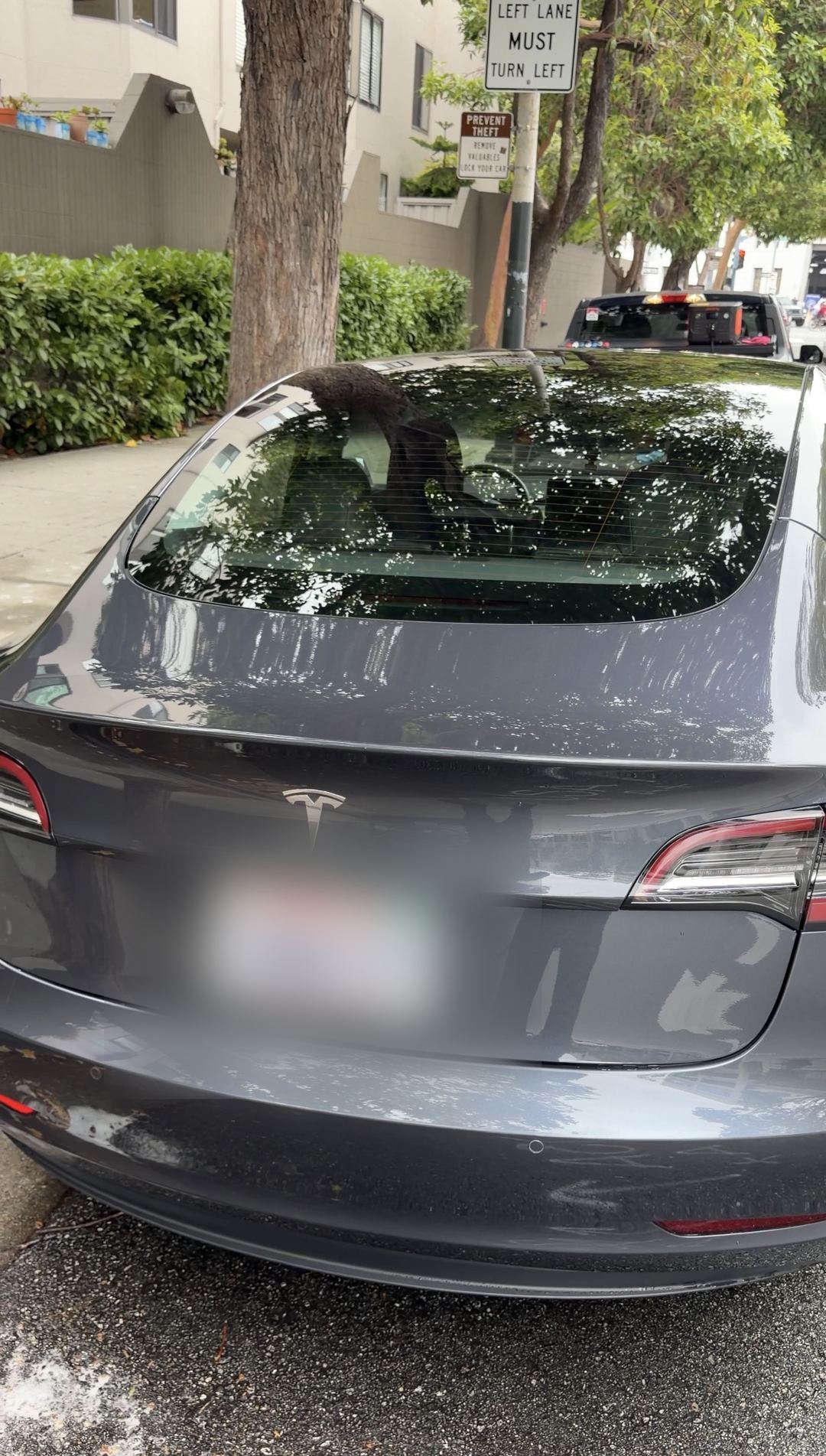 Rear of a grey Tesla Model 3 before washing, dust marks drawn on the lower bumper
