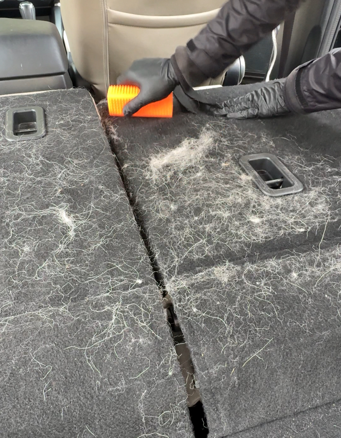 Pet hair removal from SUV cargo area by SF City Wash — complete extraction and deep clean