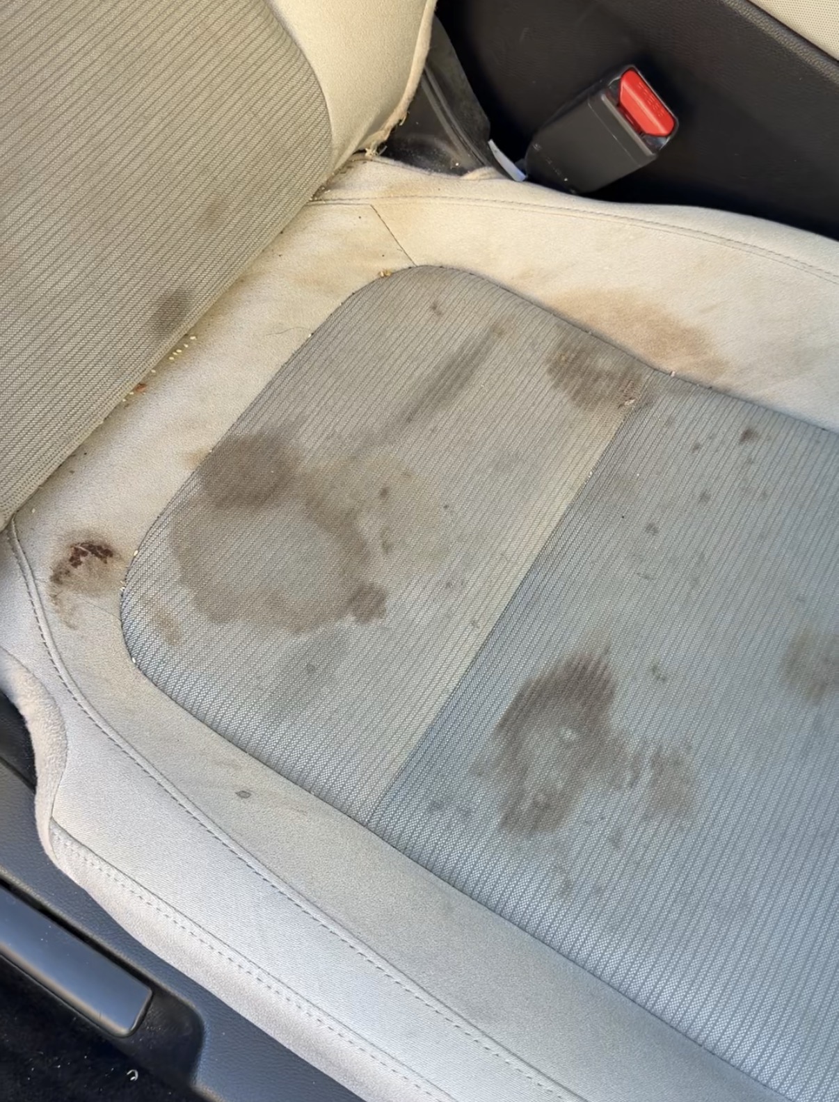 Car seat stain removal by SF City Wash