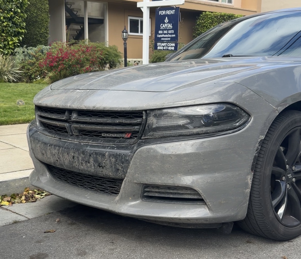 Before exterior detailing — dirty front end of a gray Dodge Charger with bug buildup and road grime in San Francisco