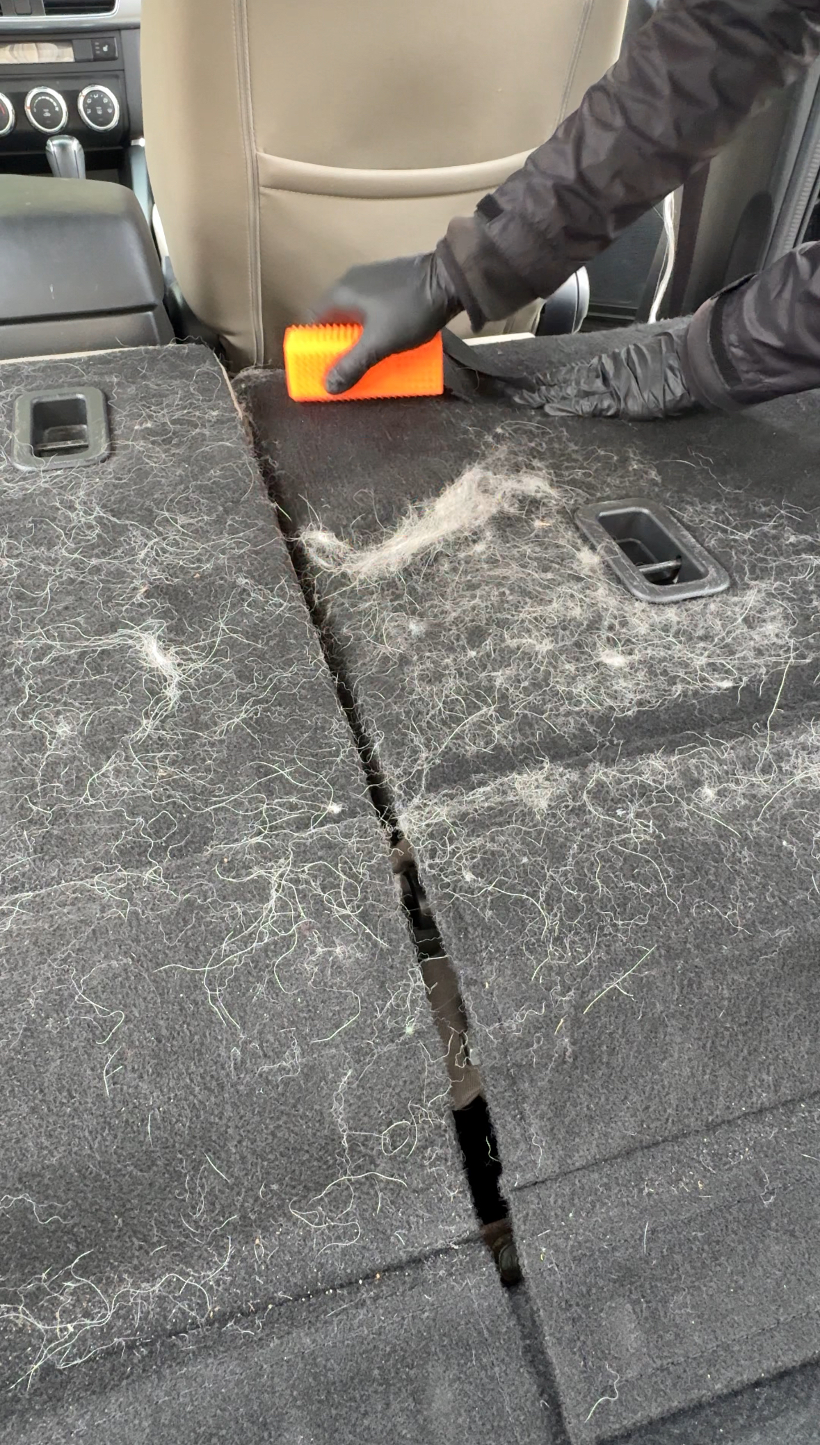 Detailing tool removing dog hair from car carpet