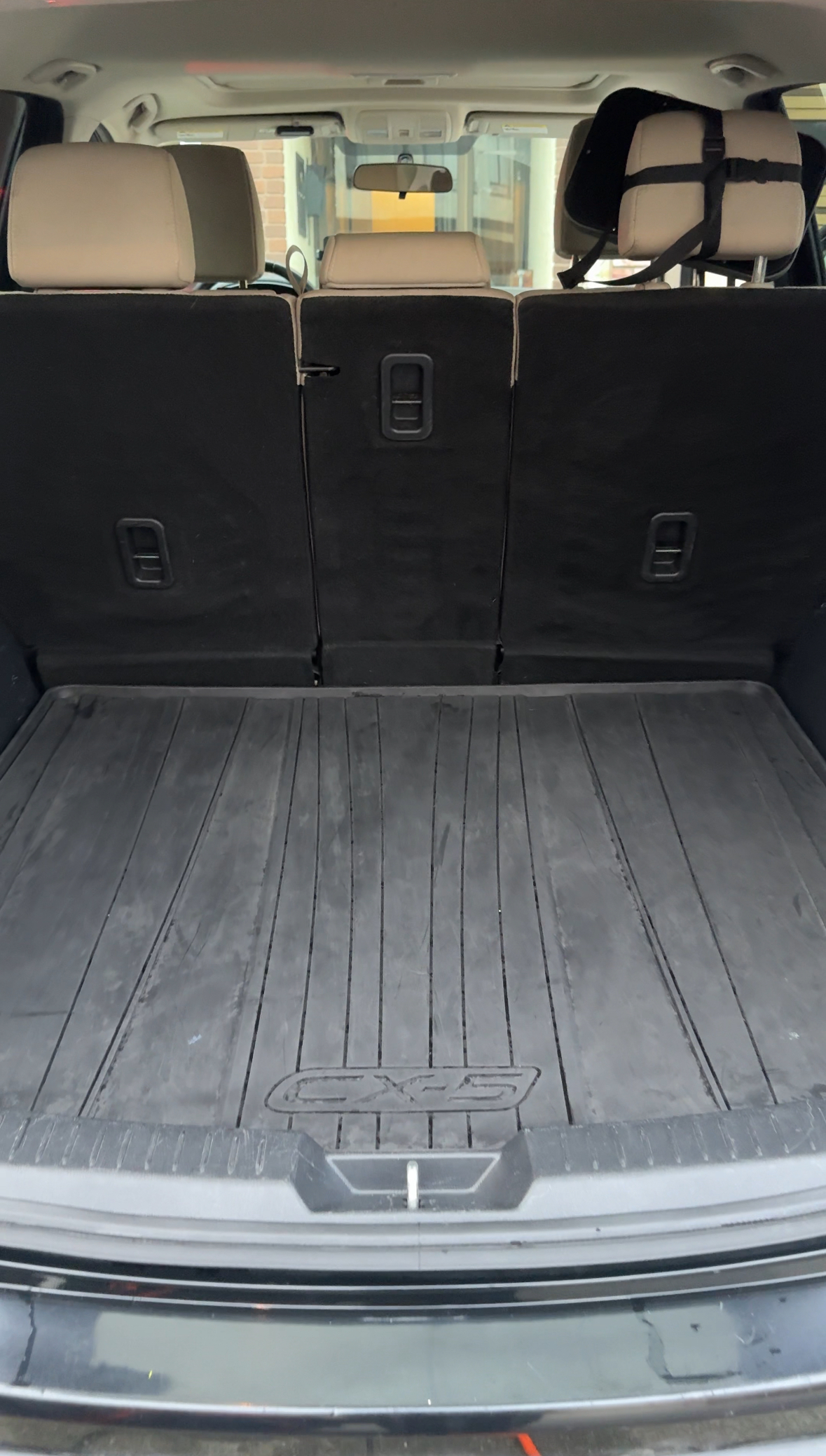 Finished car interior after pet hair removal