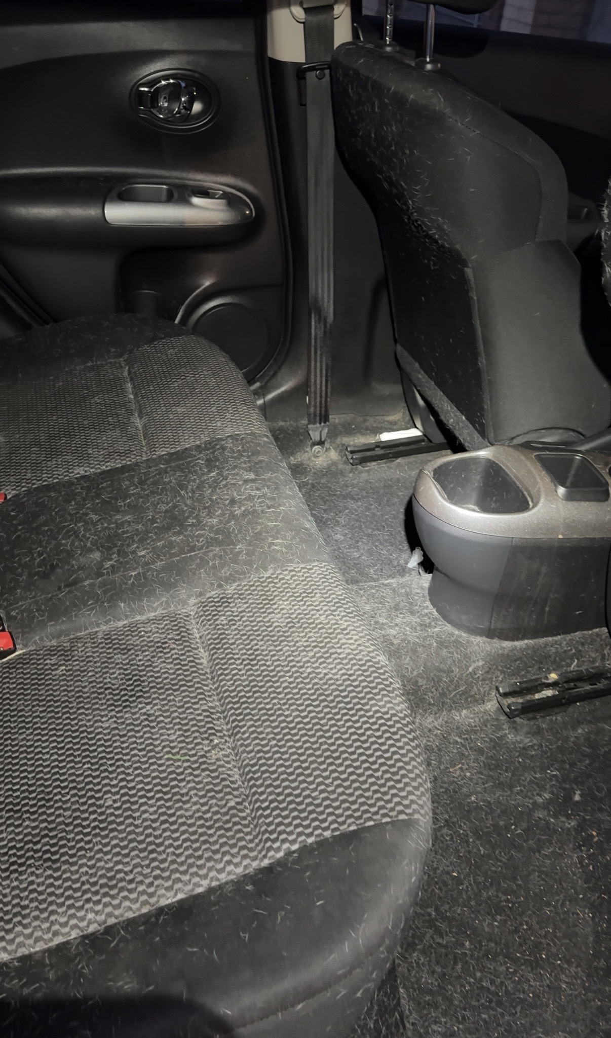 Car seat covered in dog hair before detailing San Francisco