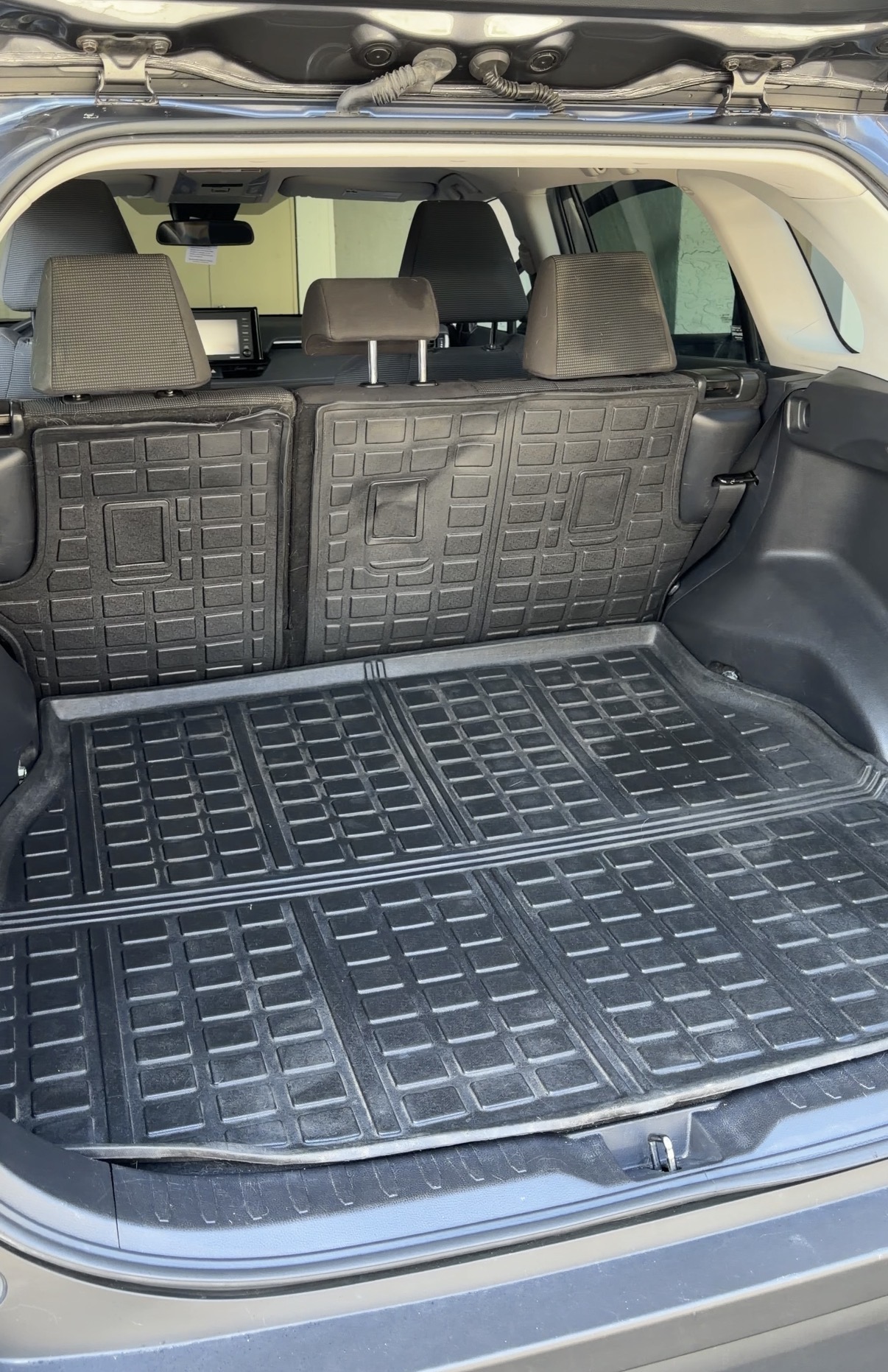 Clean carpet after pet hair removal car detailing San Francisco